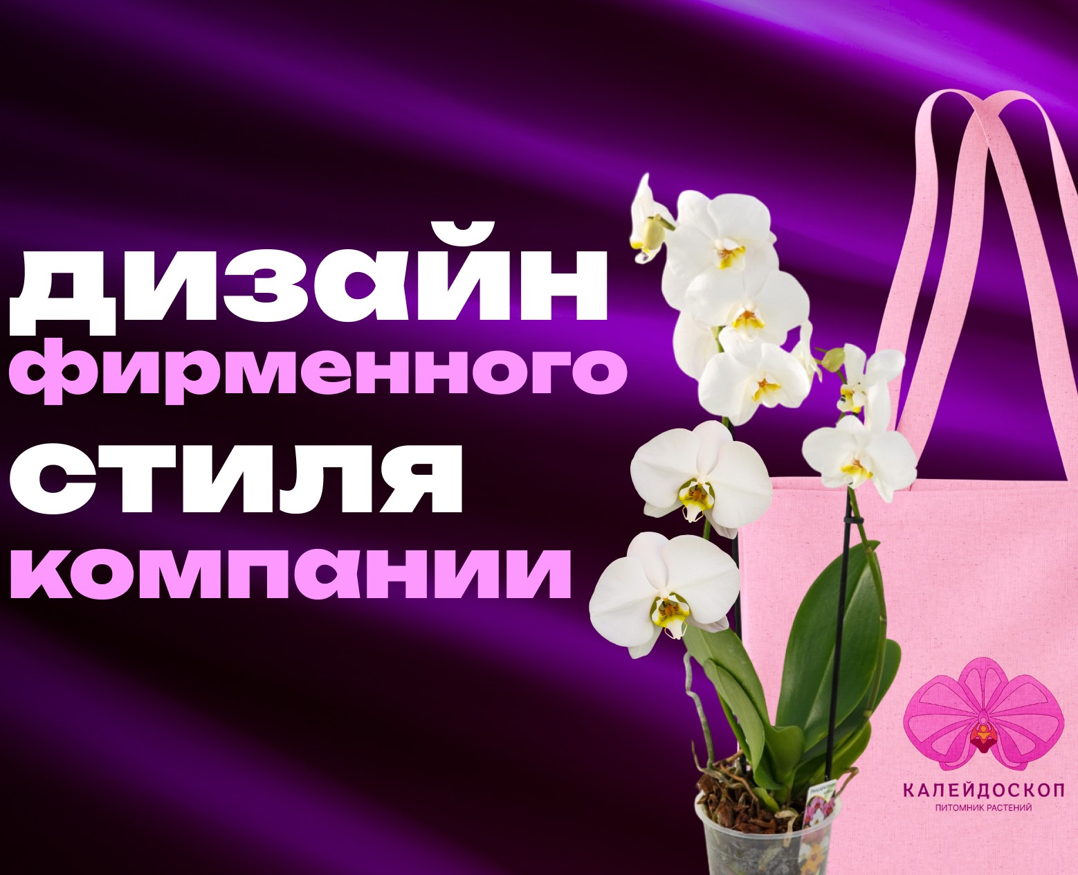 Дизайн фирменного стиля компании на Dprofile