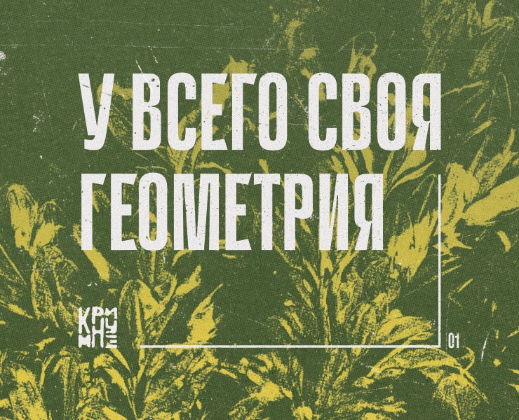 Геометрия природы — Графика на Dprofile