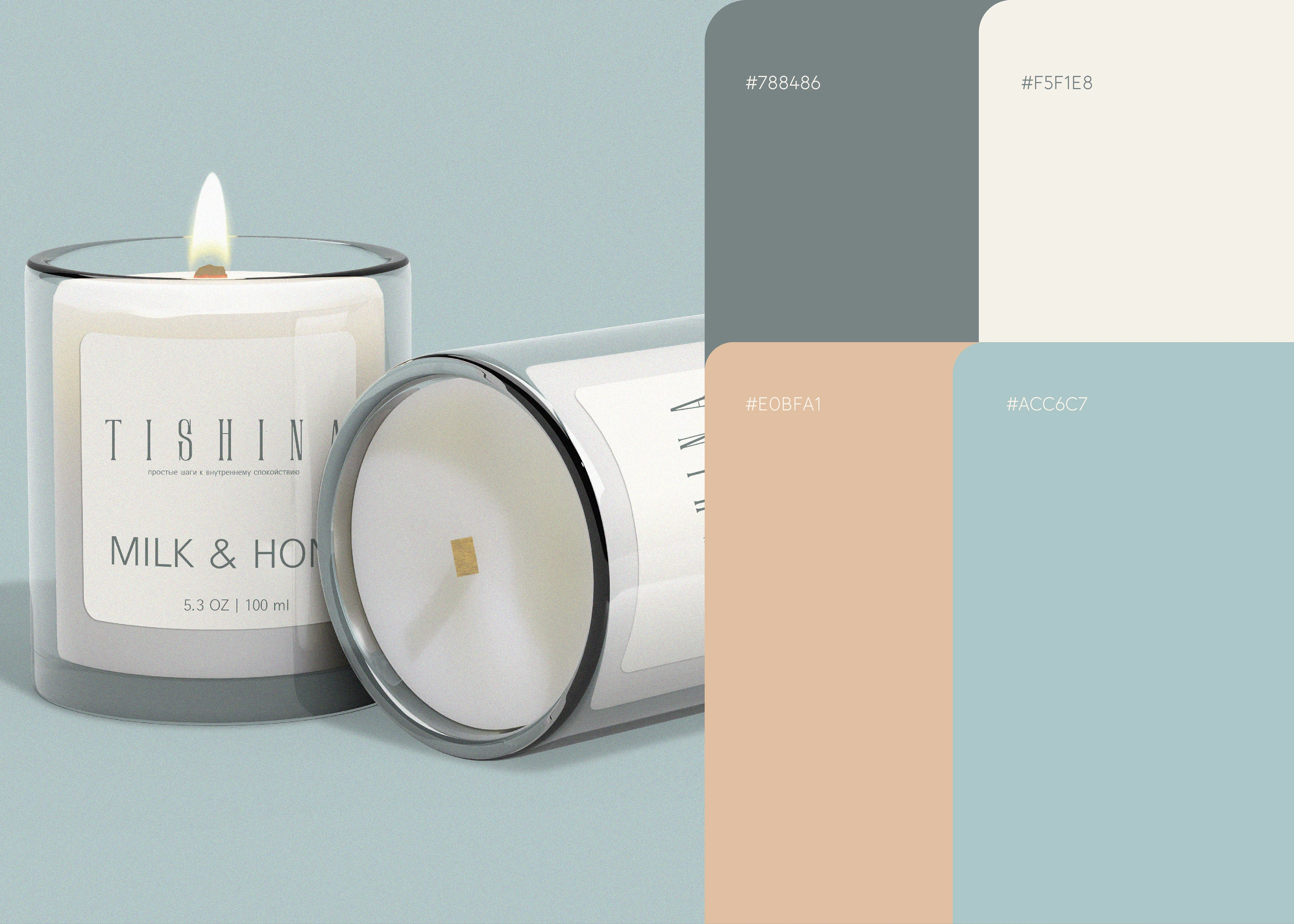 Фирменный стиль / Разработка логотипа — Изображение №4 — Брендинг на Dprofile