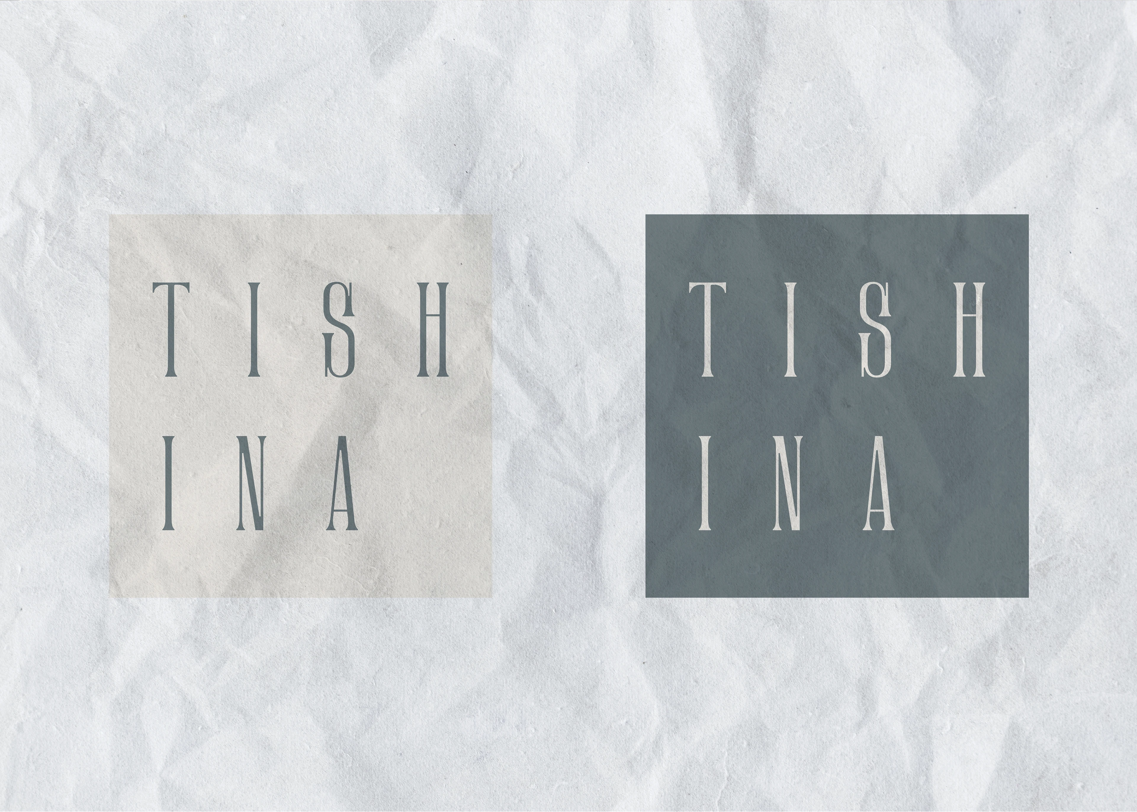 Фирменный стиль / Разработка логотипа — Изображение №9 — Брендинг на Dprofile