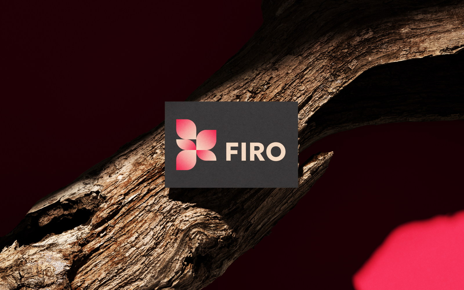 FIRO - брендинг компании по оформлению мероприятий живыми ц… — Изображение №8 — Брендинг, Графика на Dprofile