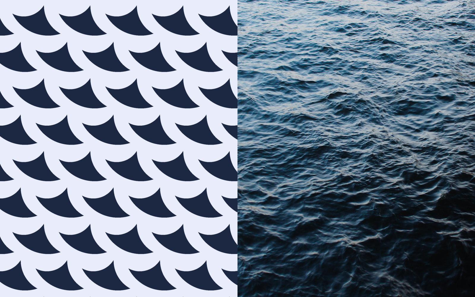 Sea logistics — Изображение №7 — Брендинг, Графика на Dprofile