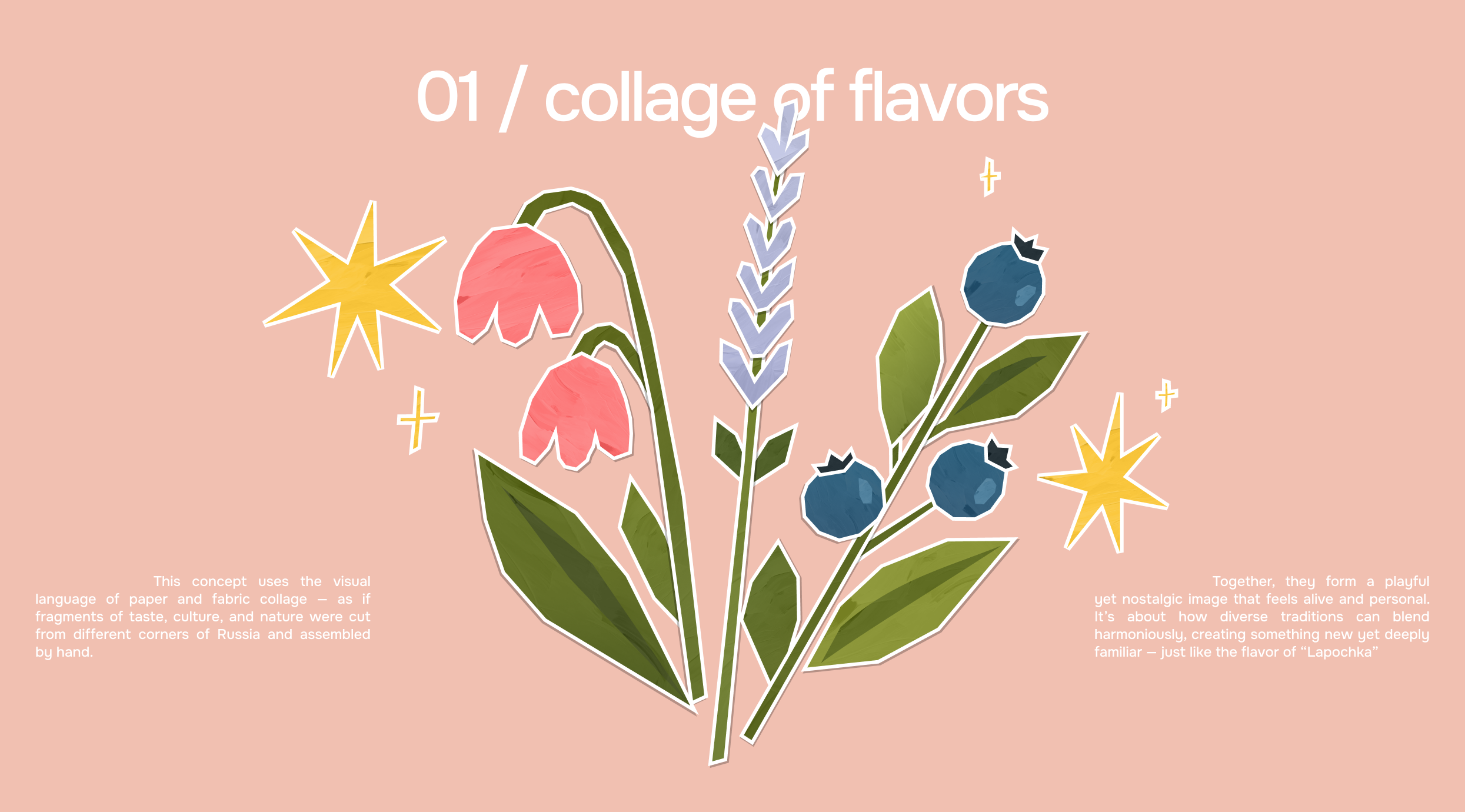 Lapochka Lemonade Packaging — Изображение №3 — Брендинг, Графика на Dprofile