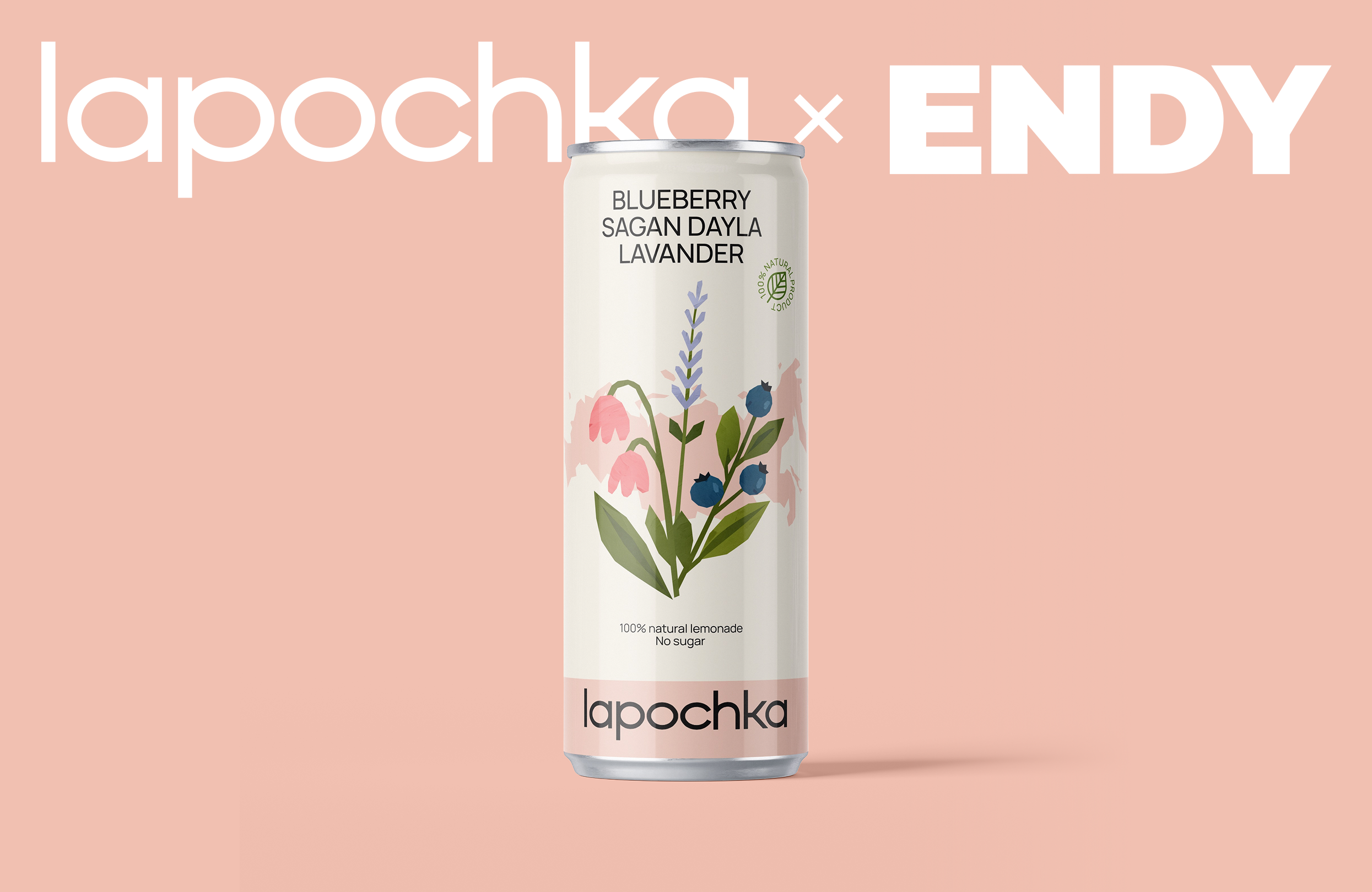 Lapochka Lemonade Packaging — Изображение №1 — Брендинг, Графика на Dprofile