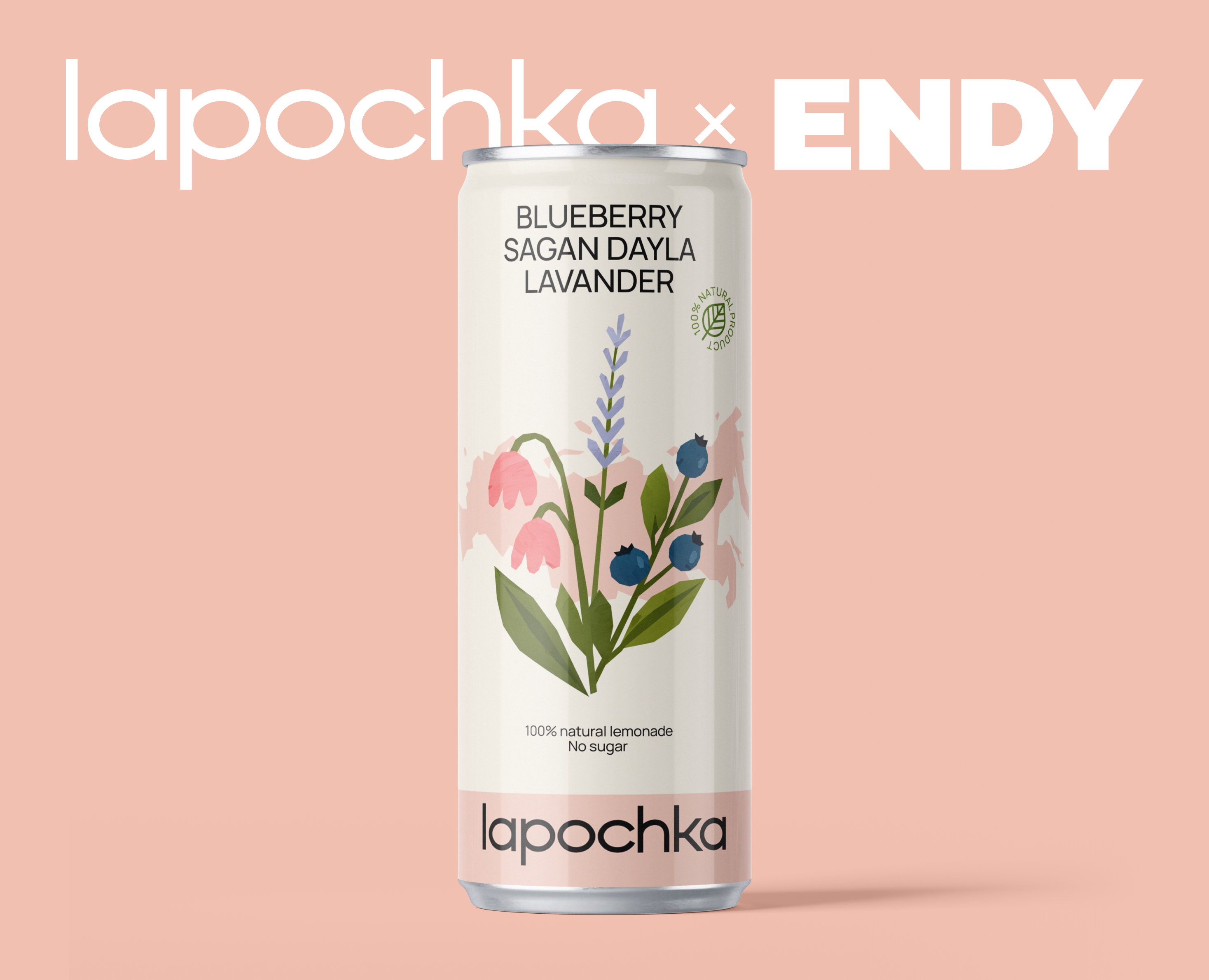 Lapochka Lemonade Packaging — Брендинг, Графика на Dprofile