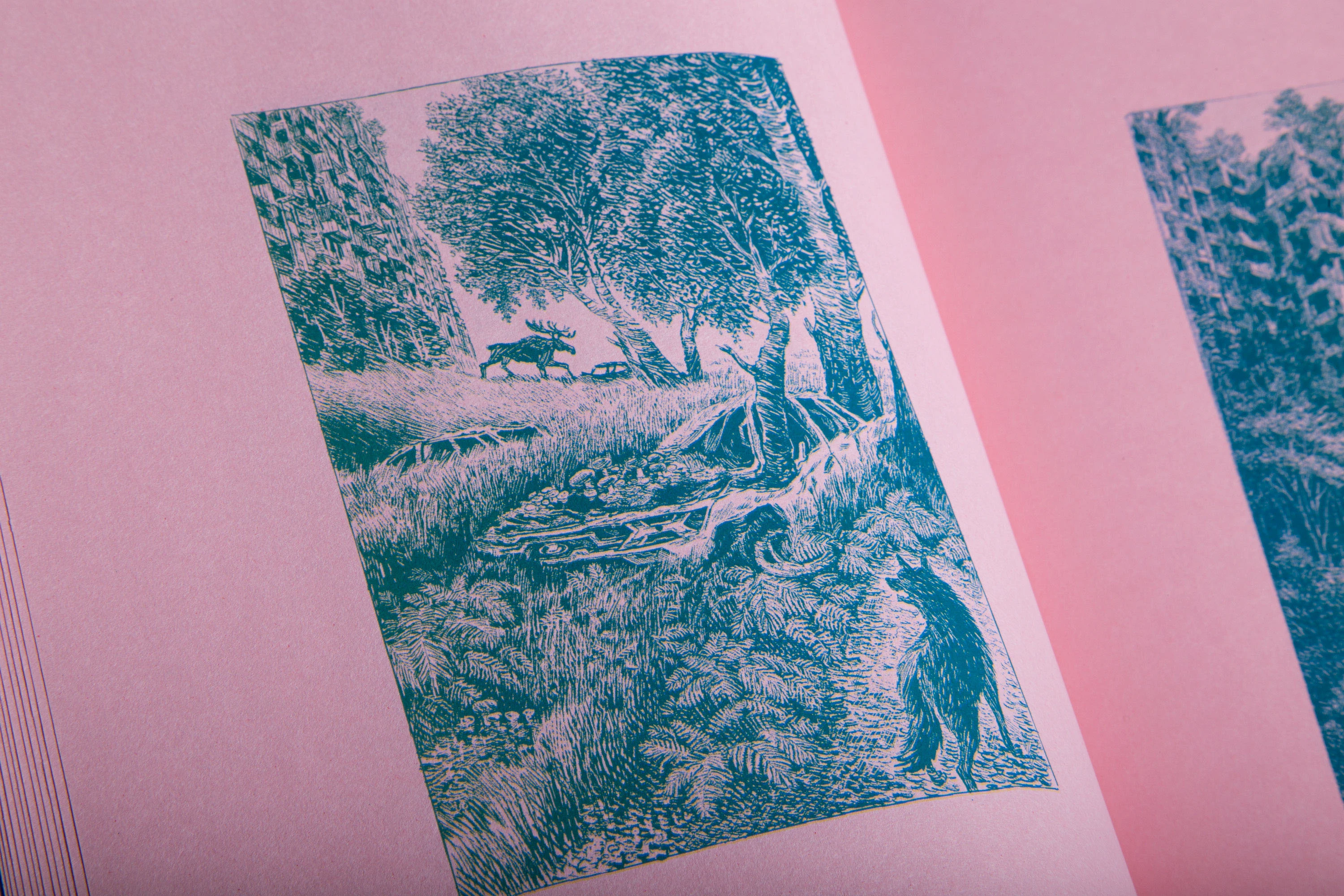 Очи Пущи — Изображение №16 — Иллюстрация, Графика на Dprofile