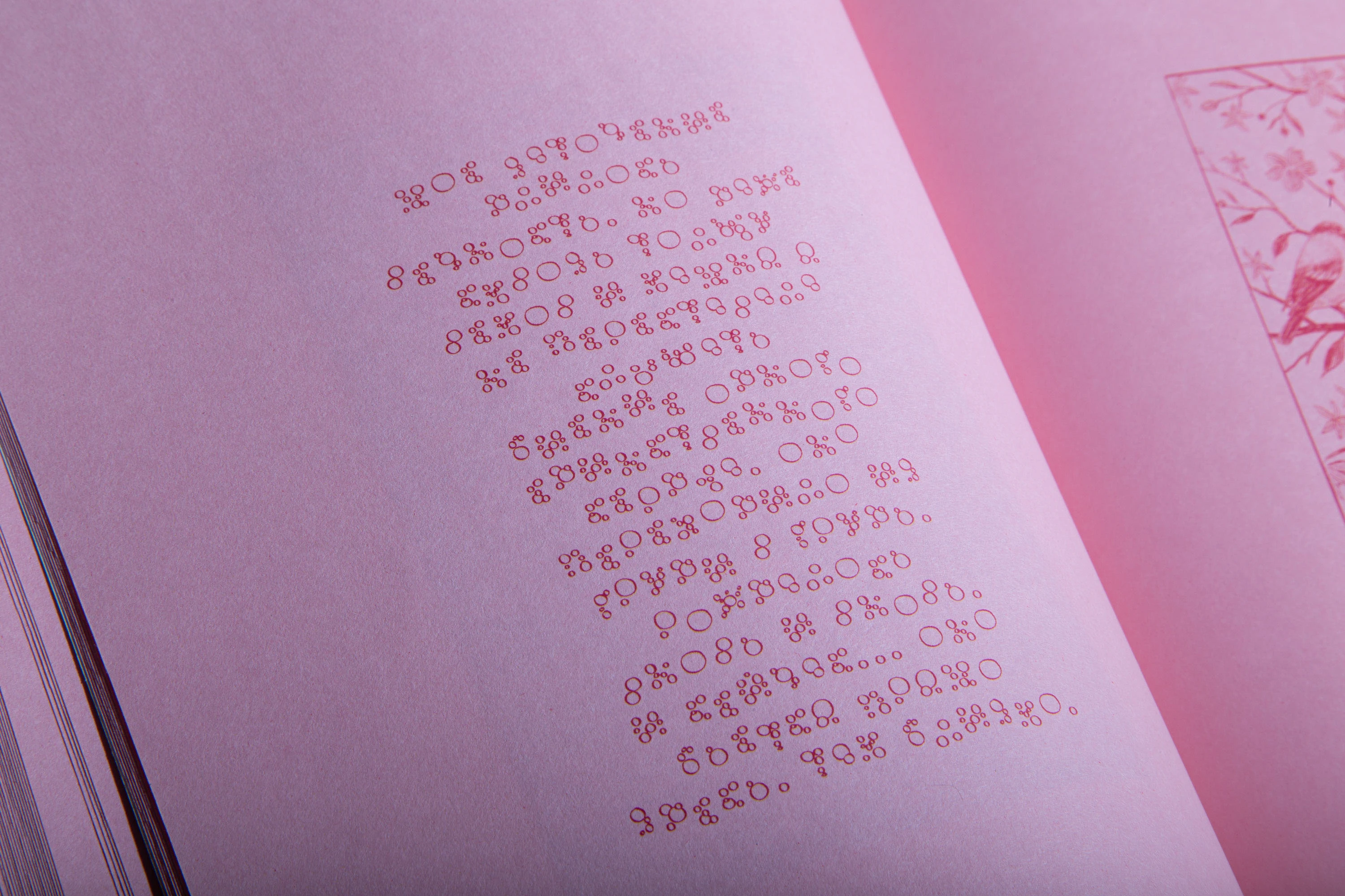 Очи Пущи — Изображение №36 — Иллюстрация, Графика на Dprofile