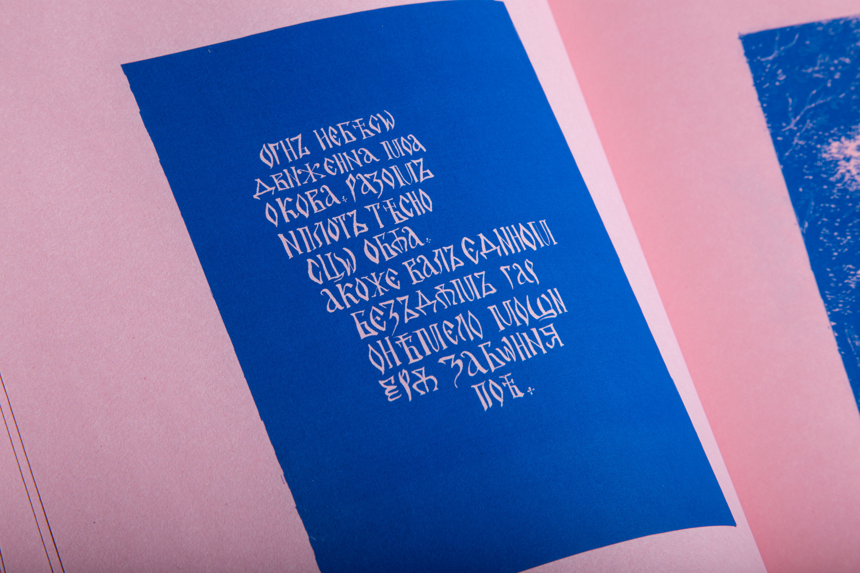 Очи Пущи — Изображение №11 — Иллюстрация, Графика на Dprofile