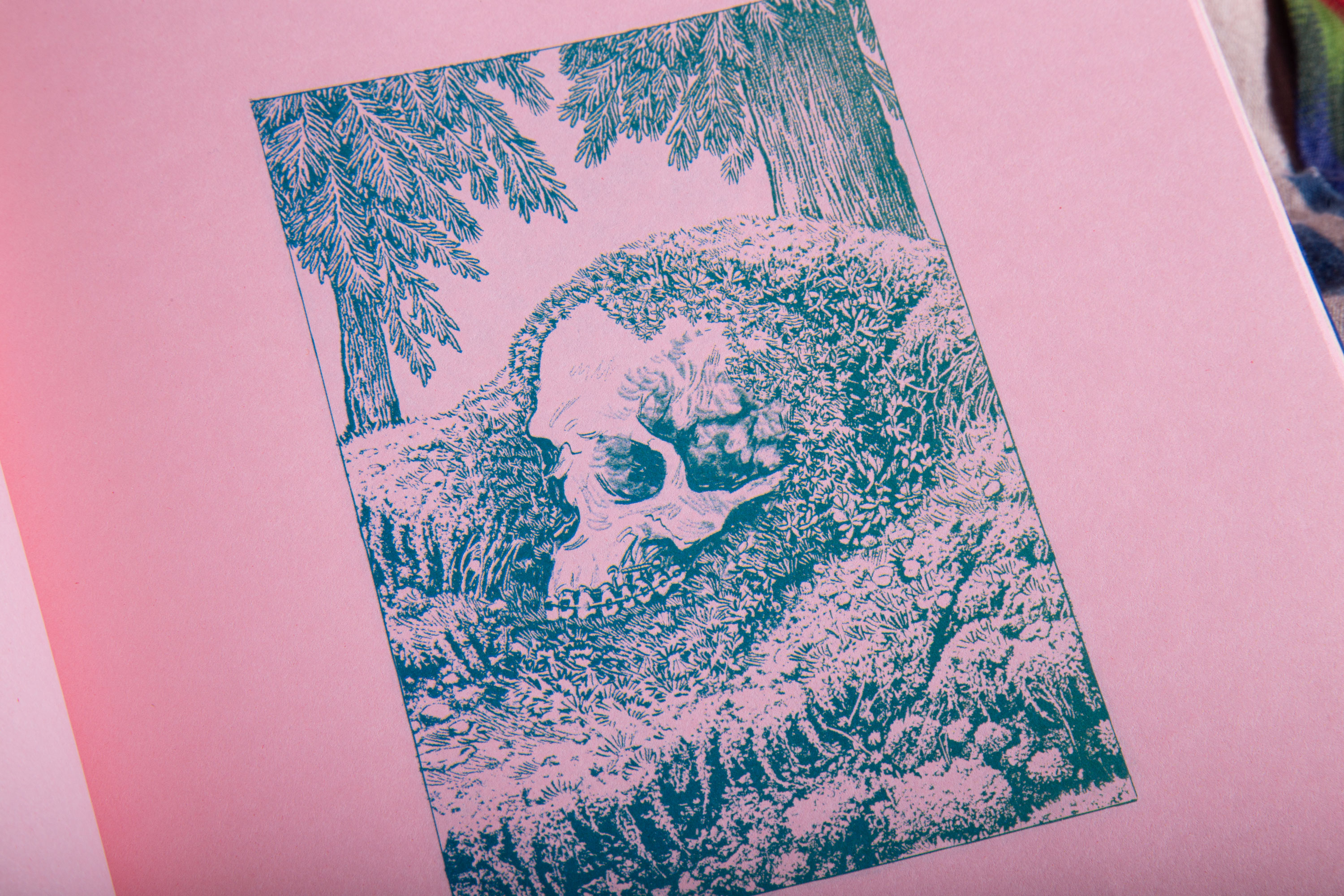 Очи Пущи — Изображение №20 — Иллюстрация, Графика на Dprofile