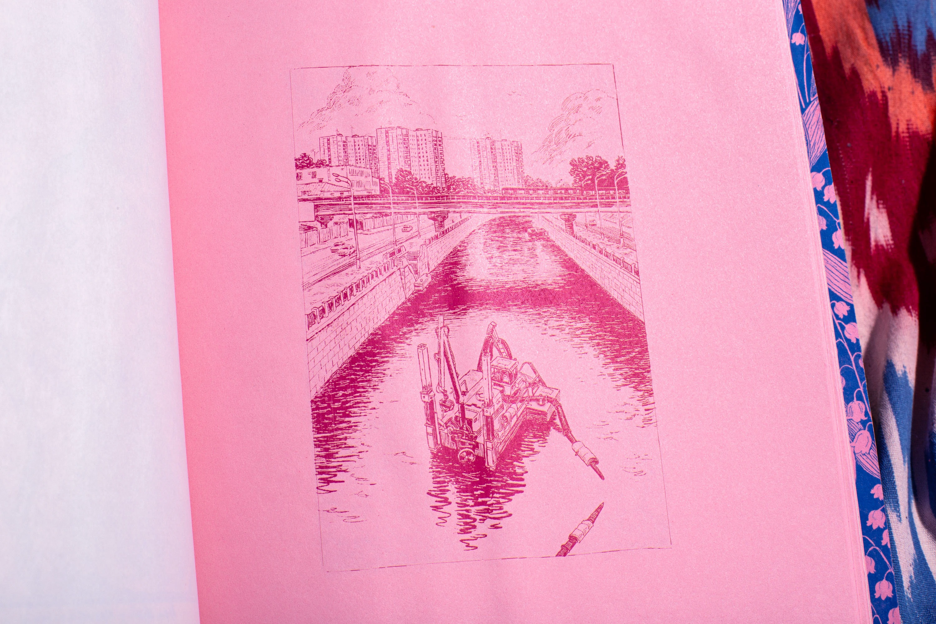 Очи Пущи — Изображение №26 — Иллюстрация, Графика на Dprofile