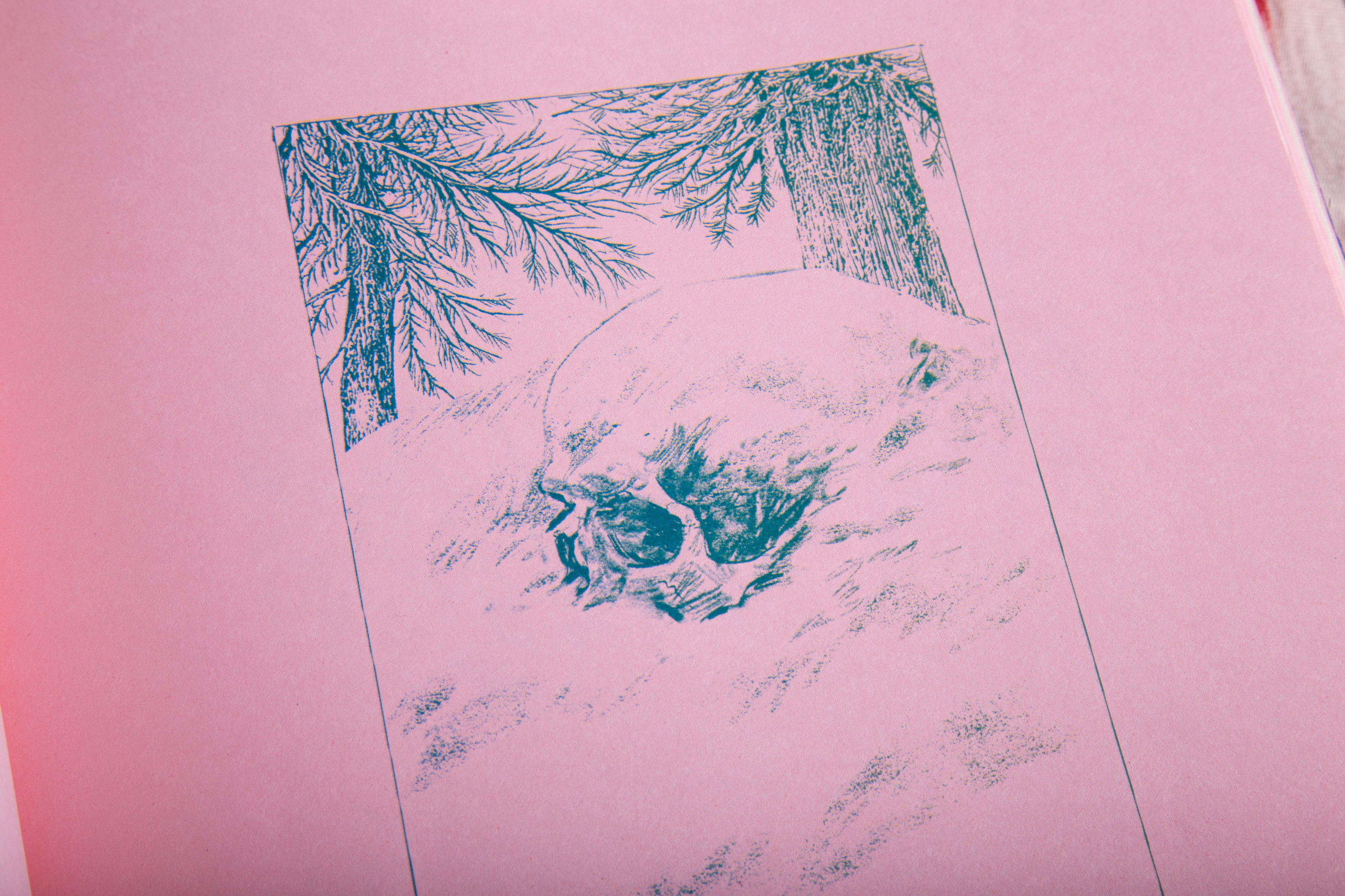 Очи Пущи — Изображение №17 — Иллюстрация, Графика на Dprofile