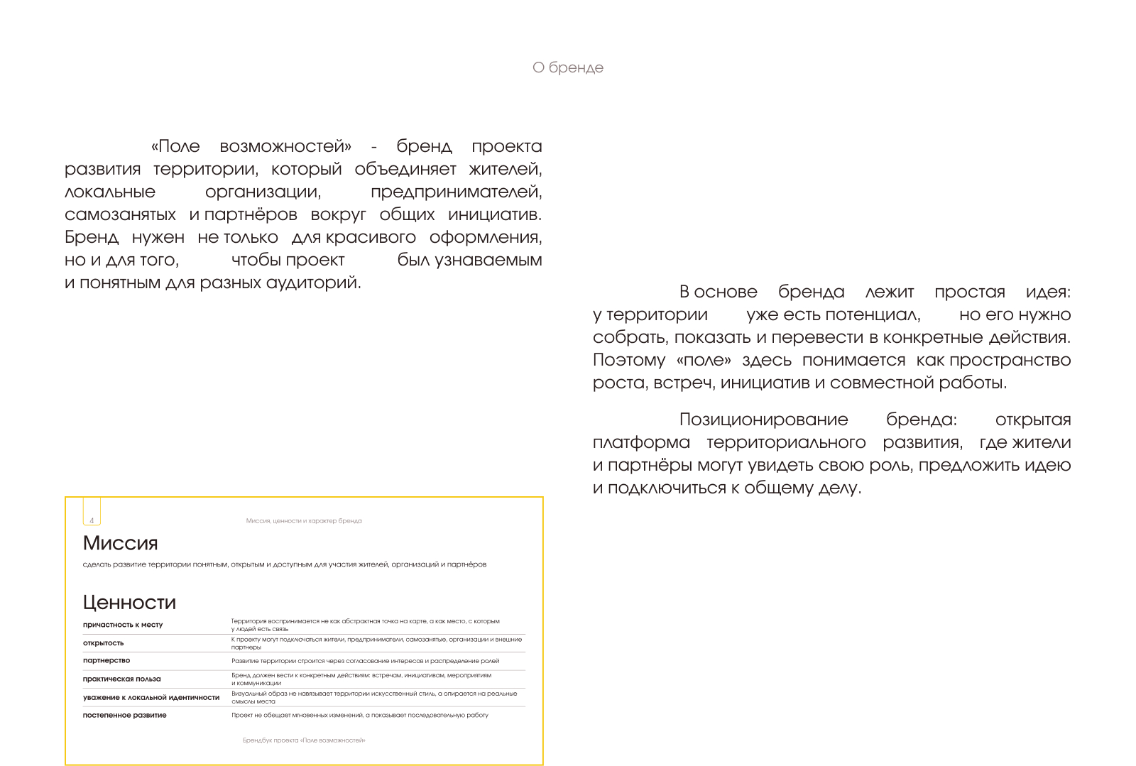 Брендбук "Поле возможностей" — Изображение №3 — Брендинг на Dprofile