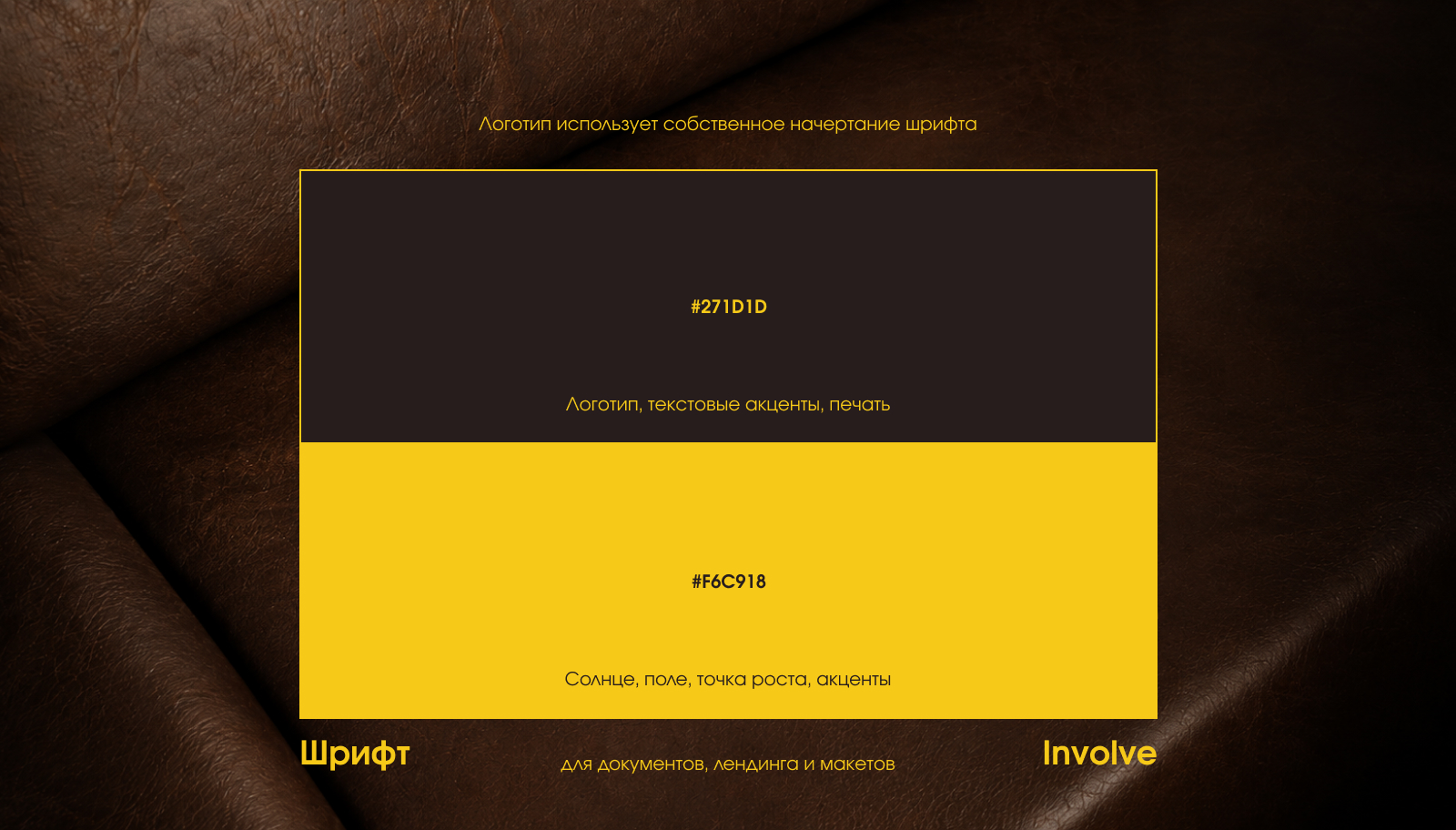 Брендбук "Поле возможностей" — Изображение №5 — Брендинг на Dprofile