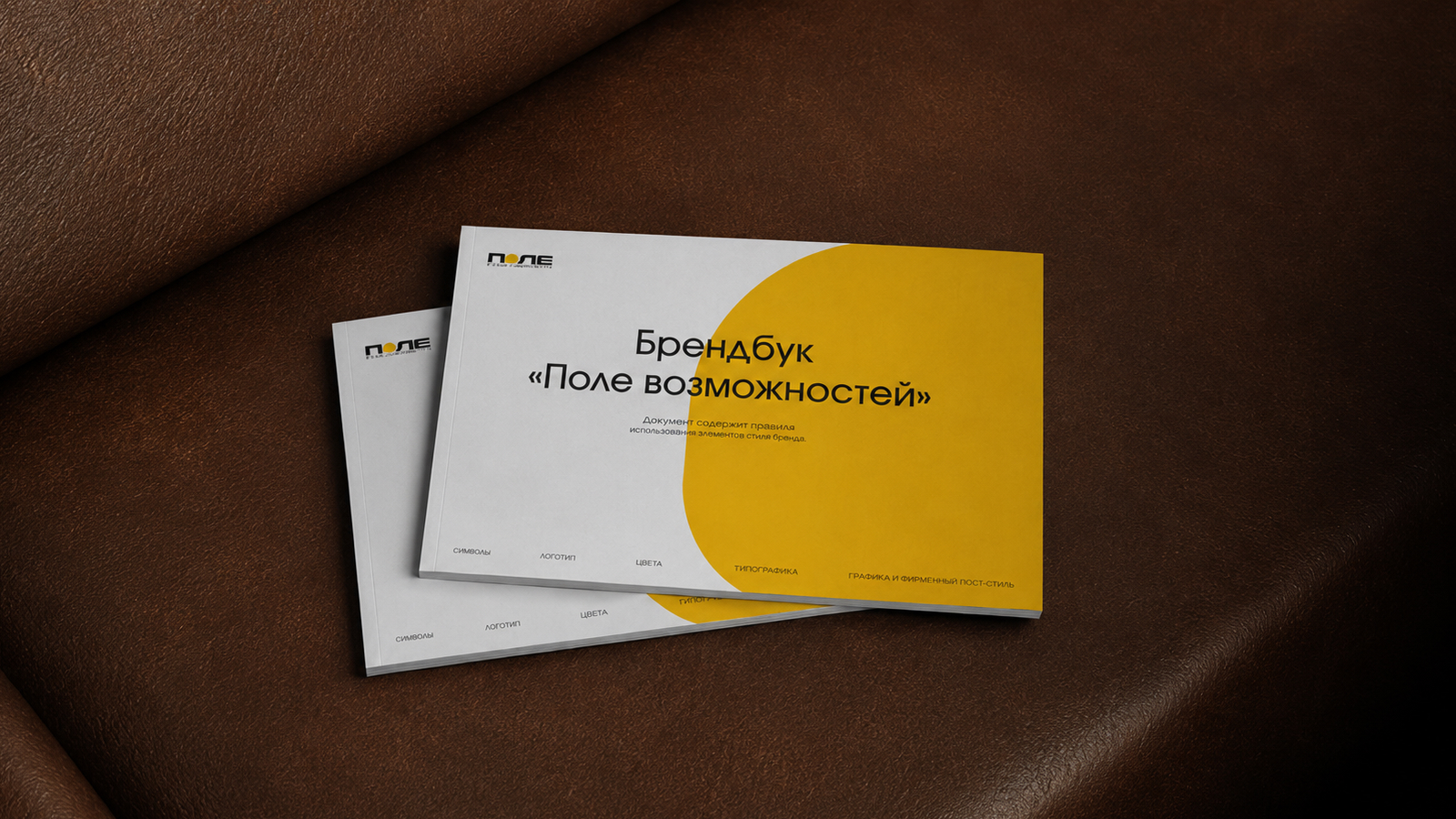 Брендбук "Поле возможностей" — Изображение №1 — Брендинг на Dprofile