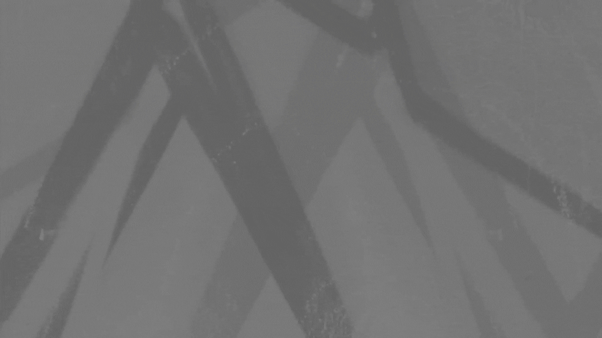 ЗНОЙ продакшн-студия — Изображение №1 — Брендинг, Анимация на Dprofile