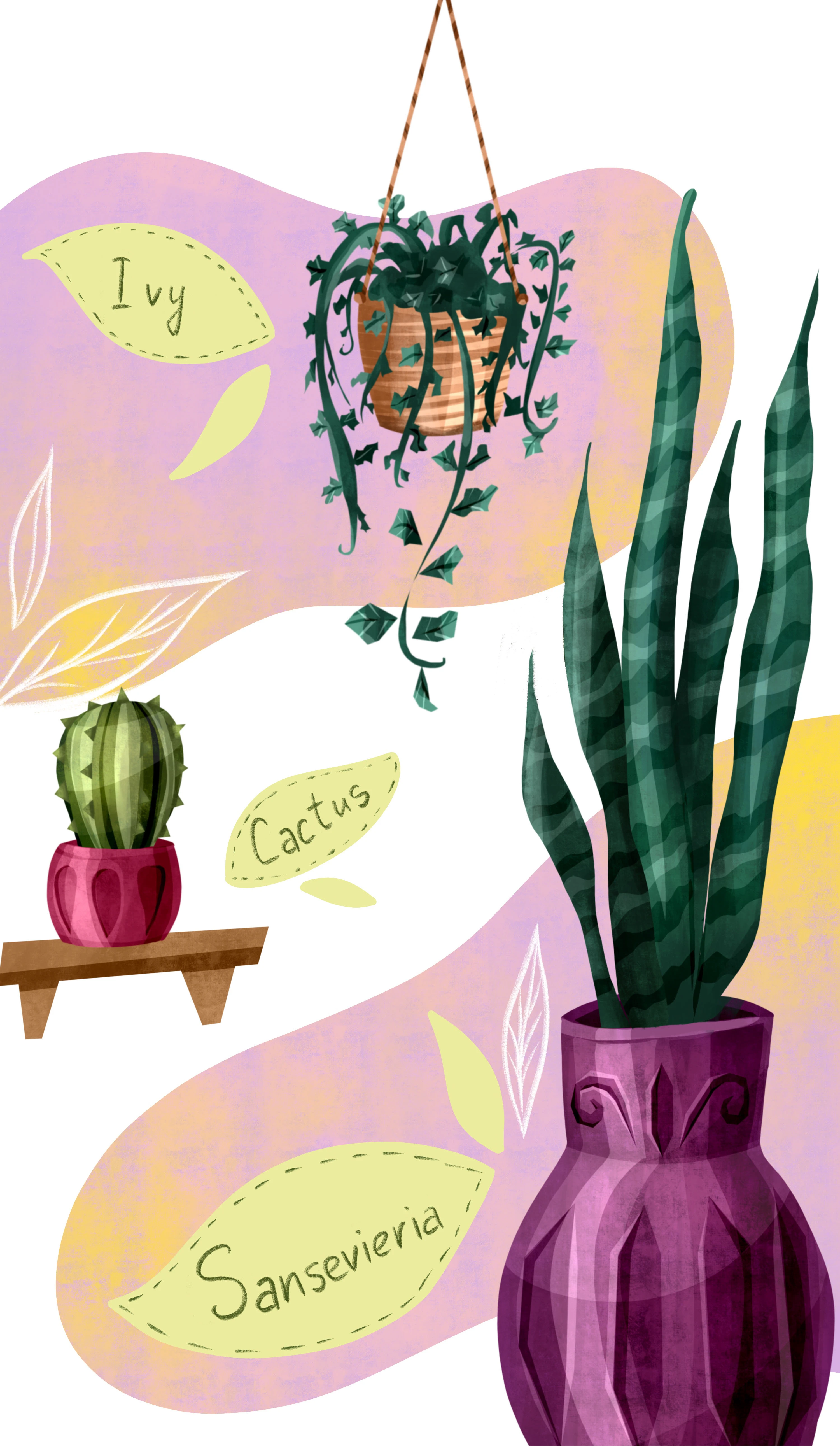 Комнатные растения | иллюстрации — Изображение №4 — Иллюстрация, Графика на Dprofile