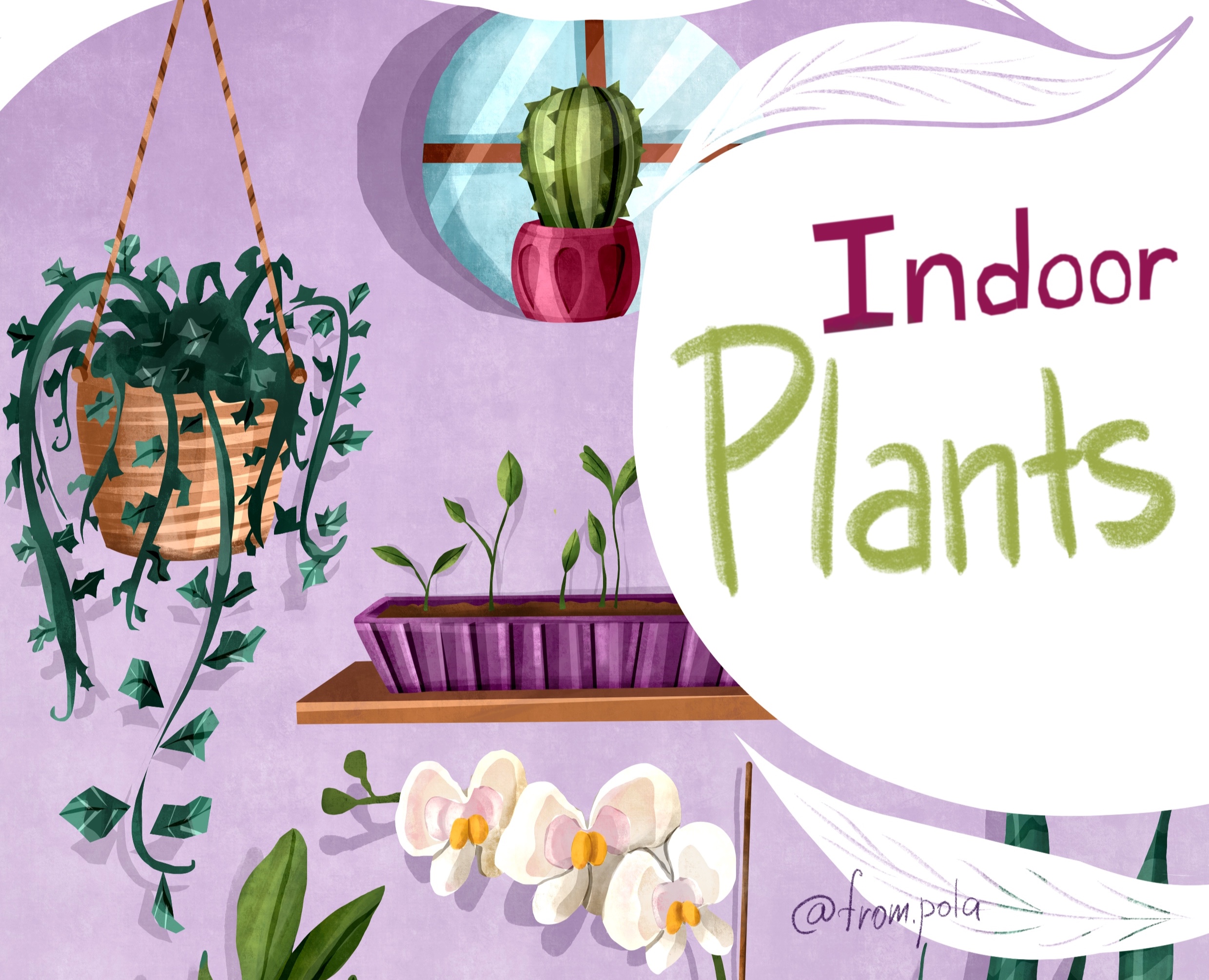 Комнатные растения | иллюстрации на Dprofile