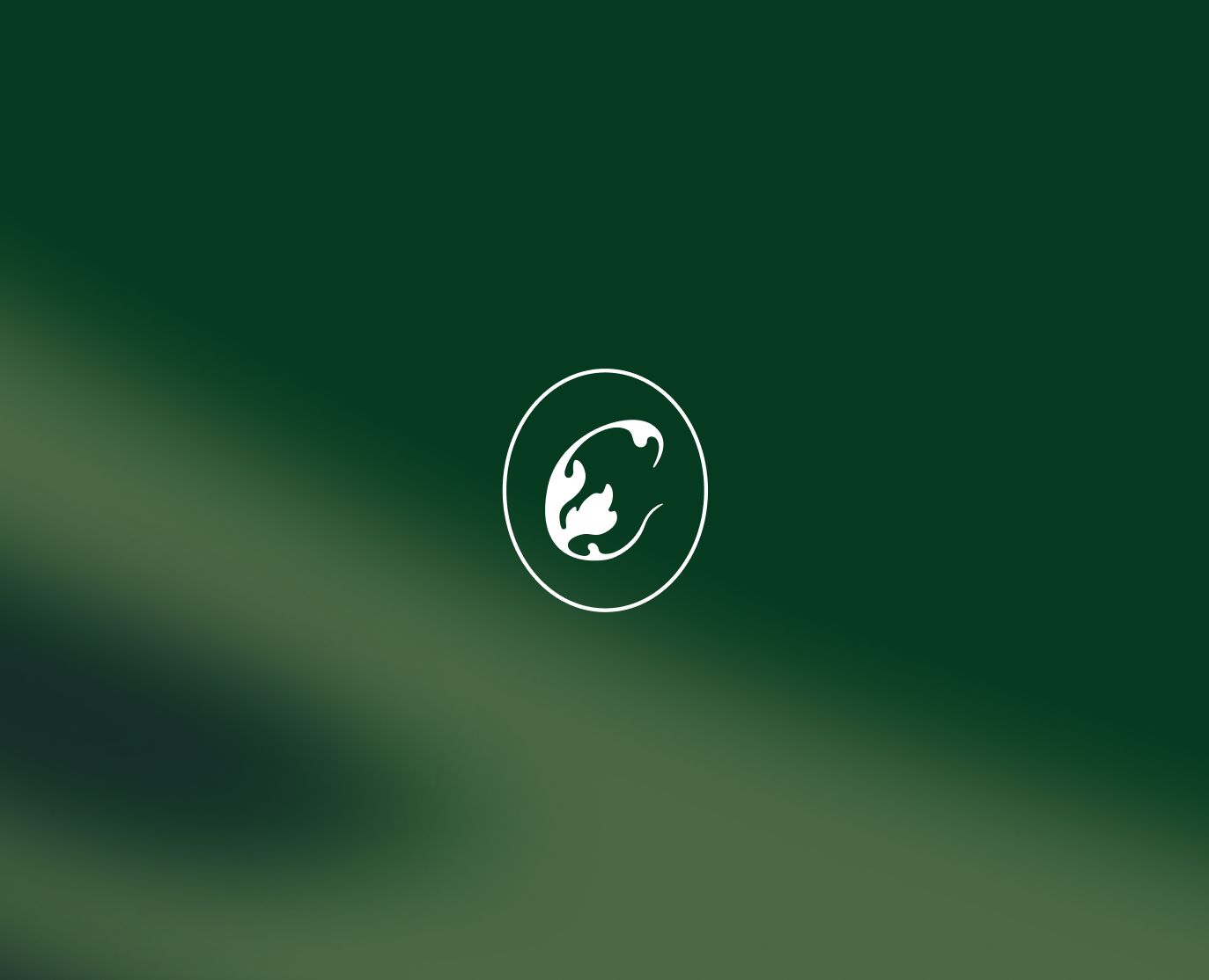 Фирменный стиль для бренда нижнего белья Catalina cose — Брендинг на Dprofile