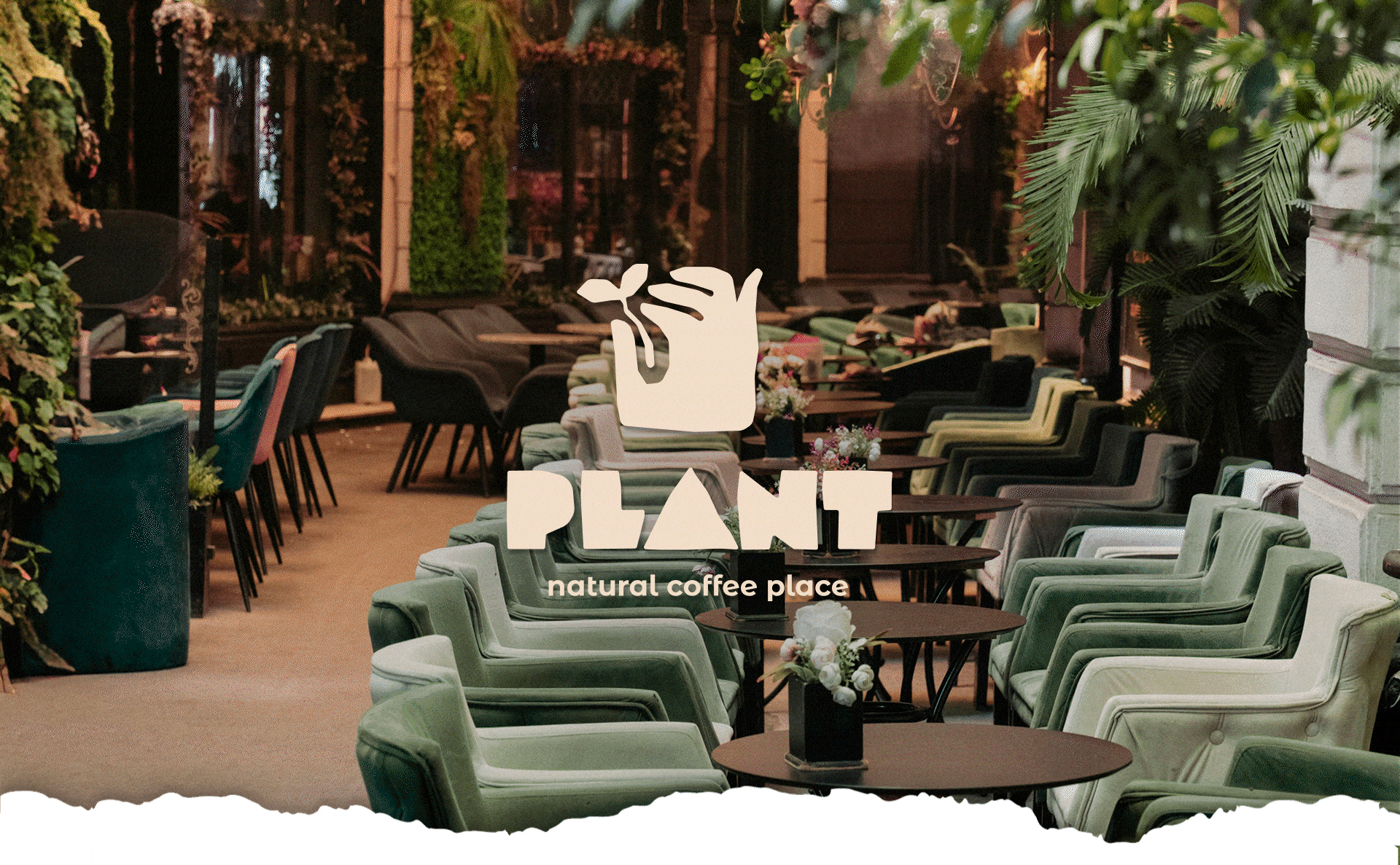 Plant | Экологичная кофейня — Изображение №1 — Брендинг на Dprofile
