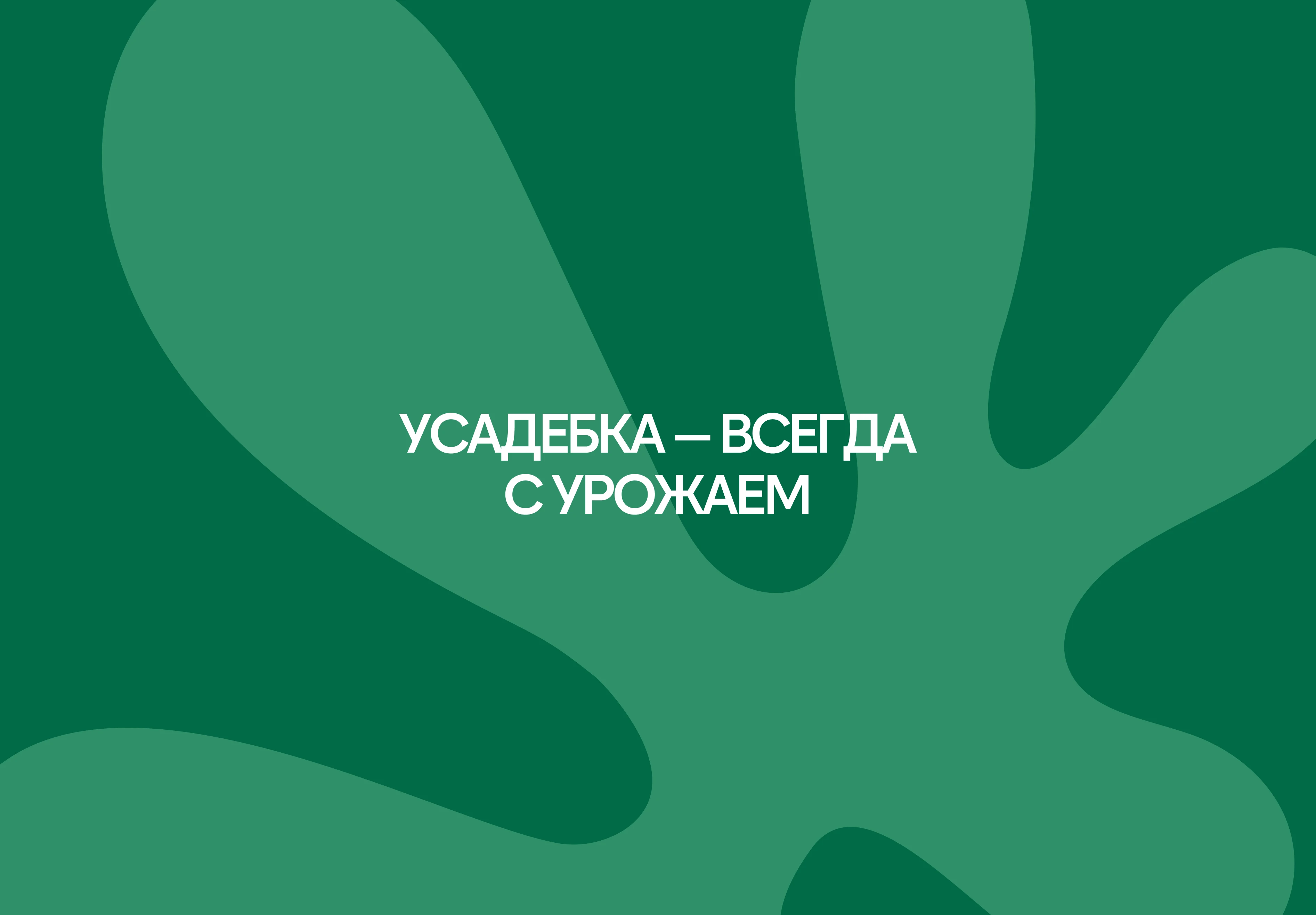 Фирменный стиль садового центра на Камчатке — Изображение №11 — Брендинг на Dprofile