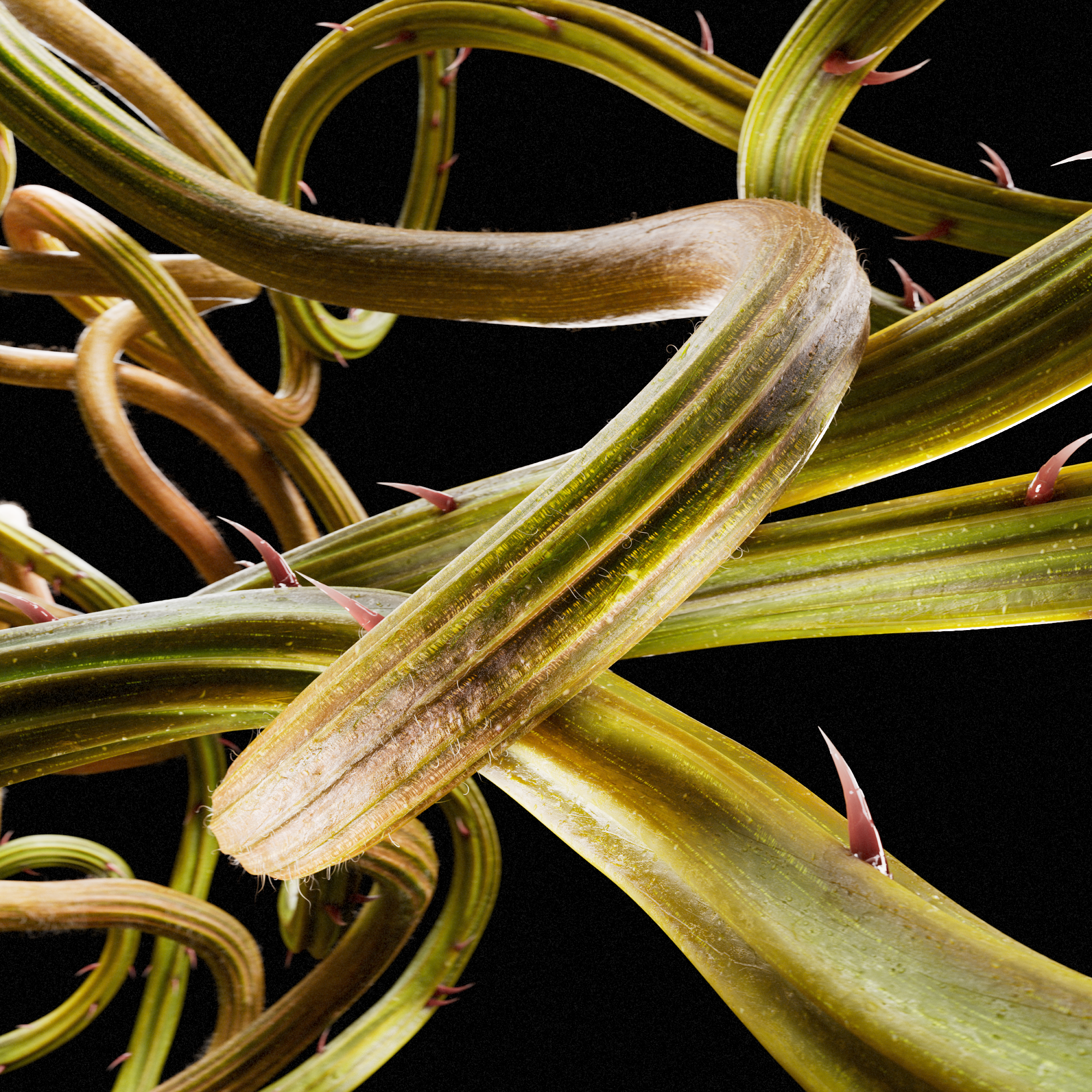 selected works 01 — Изображение №19 — Иллюстрация, 3D на Dprofile