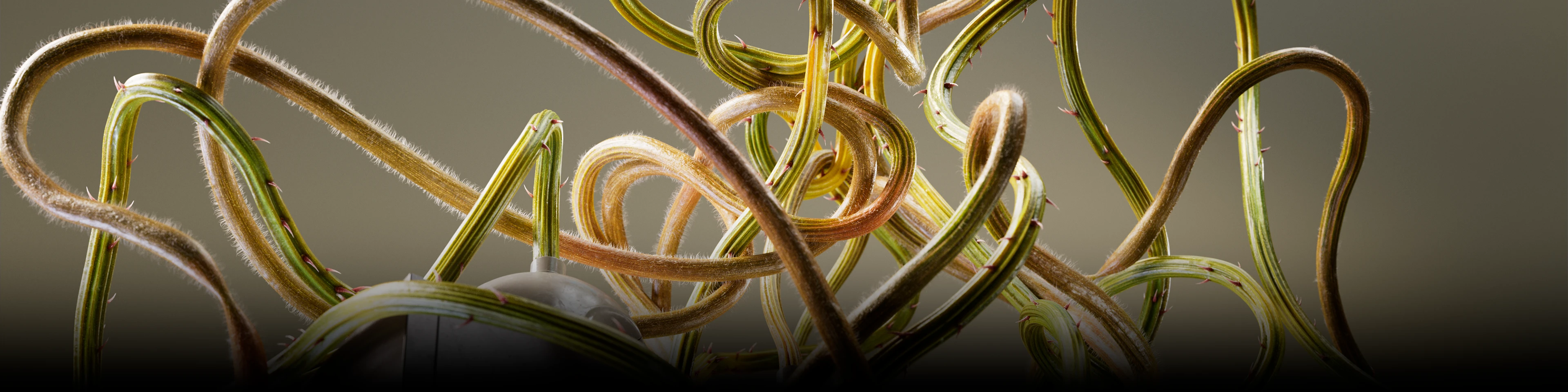 selected works 01 — Изображение №1 — Иллюстрация, 3D на Dprofile