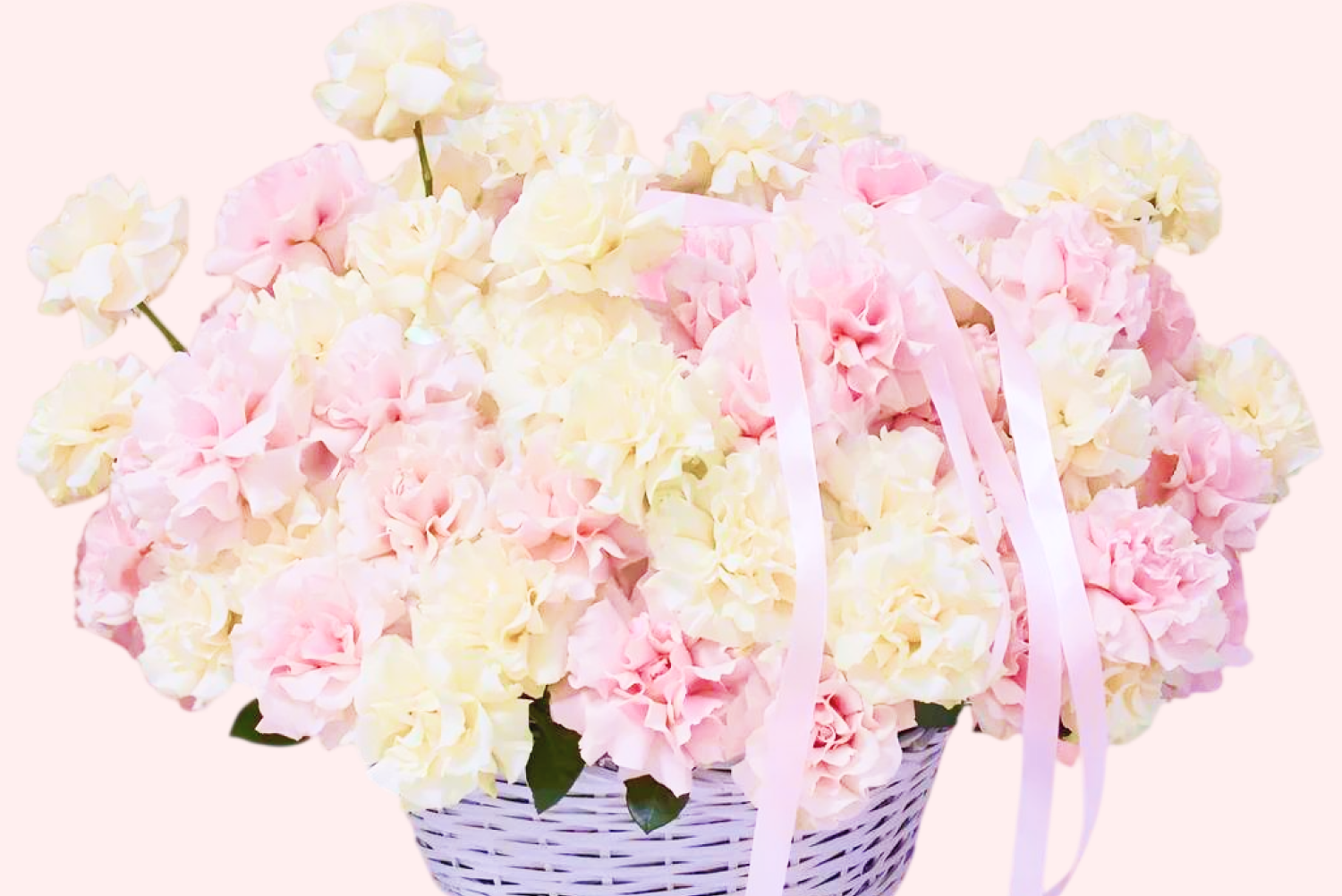 Floralina Flowers Branding — Изображение №8 — Брендинг, Графика на Dprofile