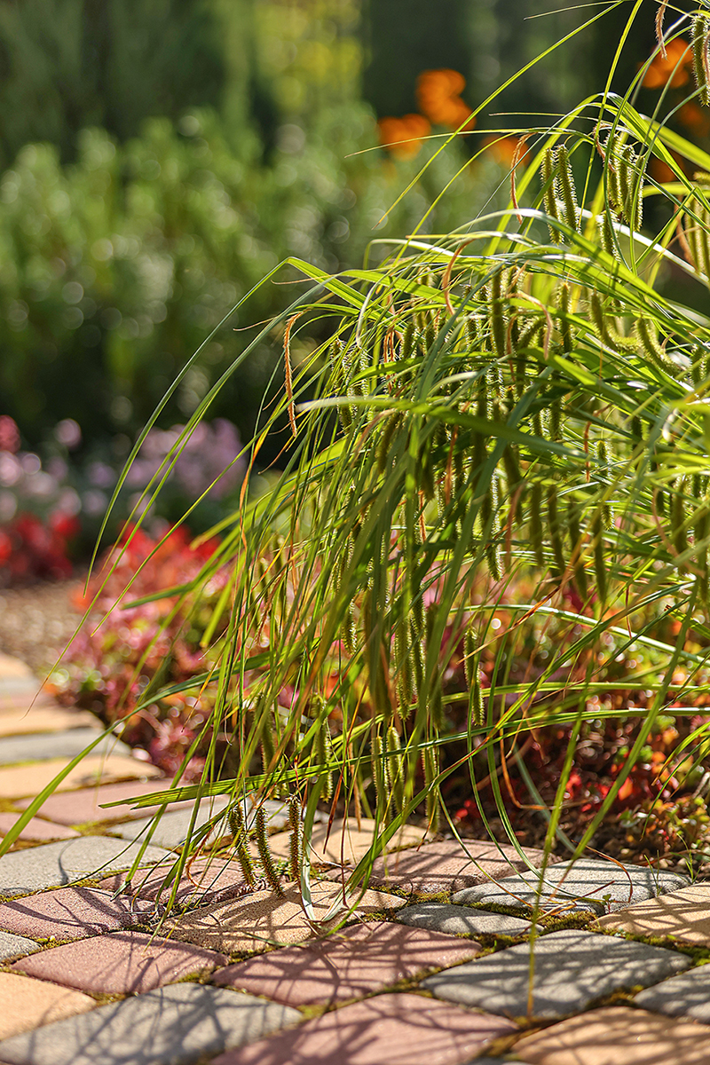 FormaGarden — Изображение №2 — Брендинг, Архитектура на Dprofile