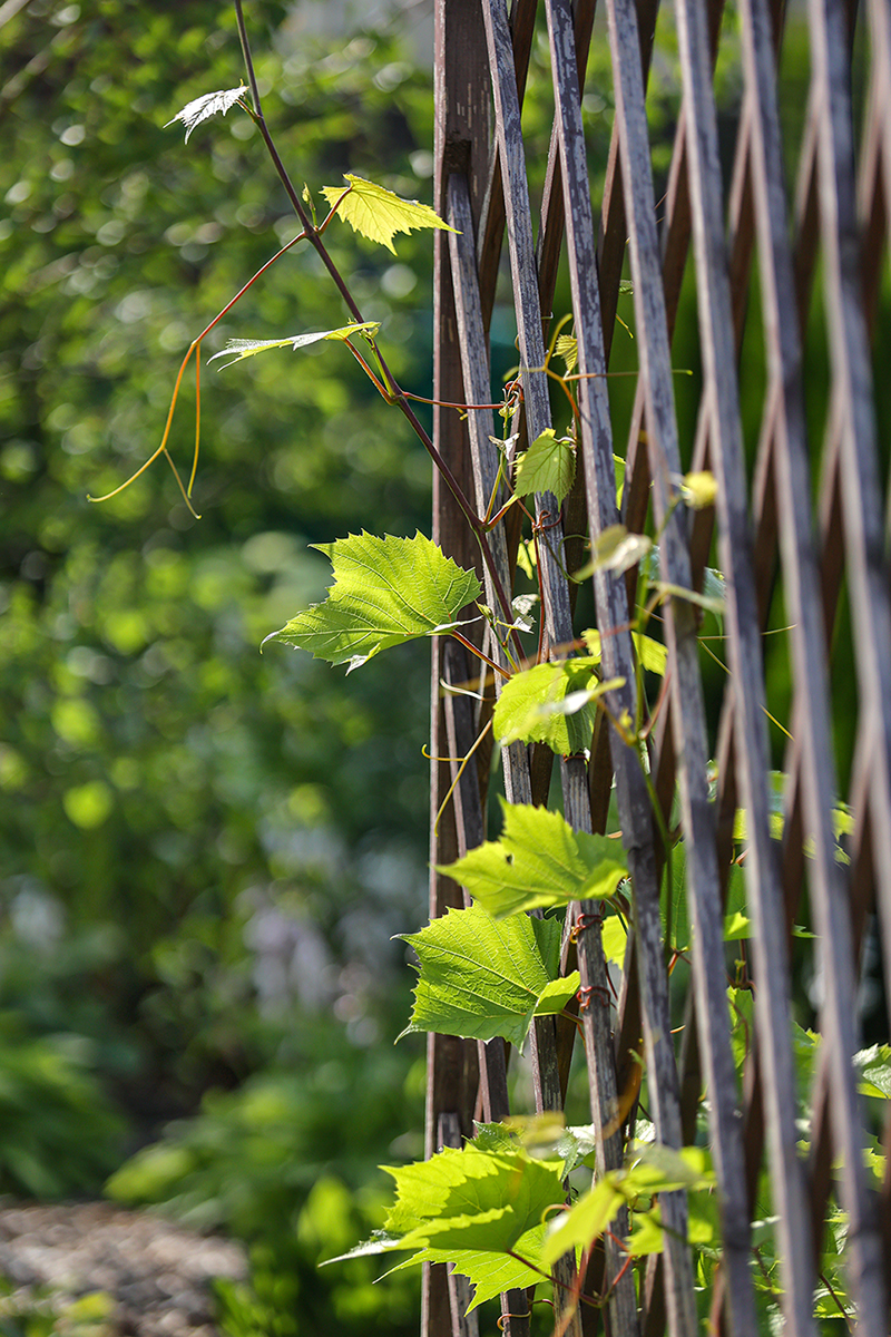 FormaGarden — Изображение №4 — Брендинг, Архитектура на Dprofile