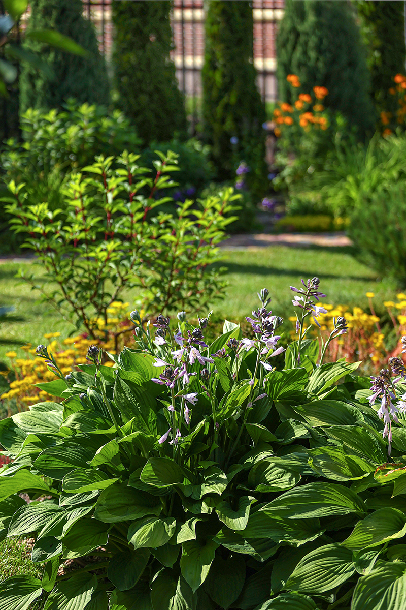 FormaGarden — Изображение №3 — Брендинг, Архитектура на Dprofile