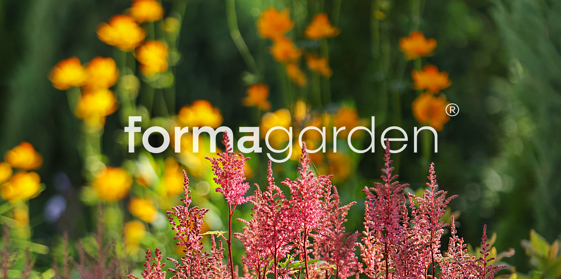 FormaGarden — Изображение №1 — Брендинг, Архитектура на Dprofile