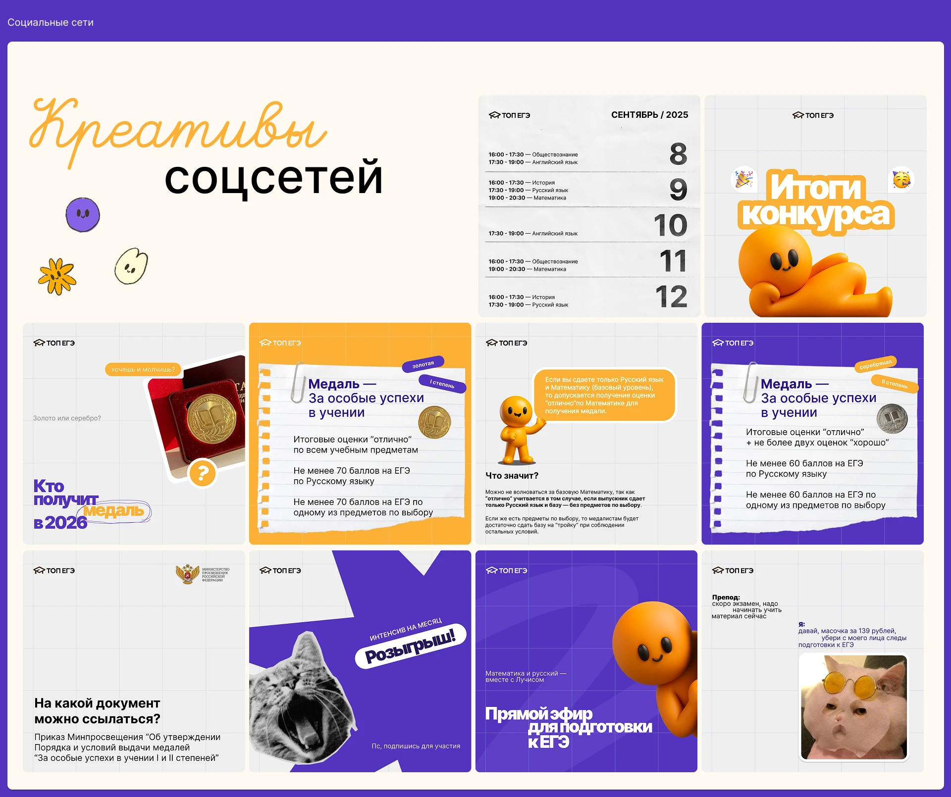 ТОП ЕГЭ — Изображение №13 — Брендинг, Иллюстрация на Dprofile