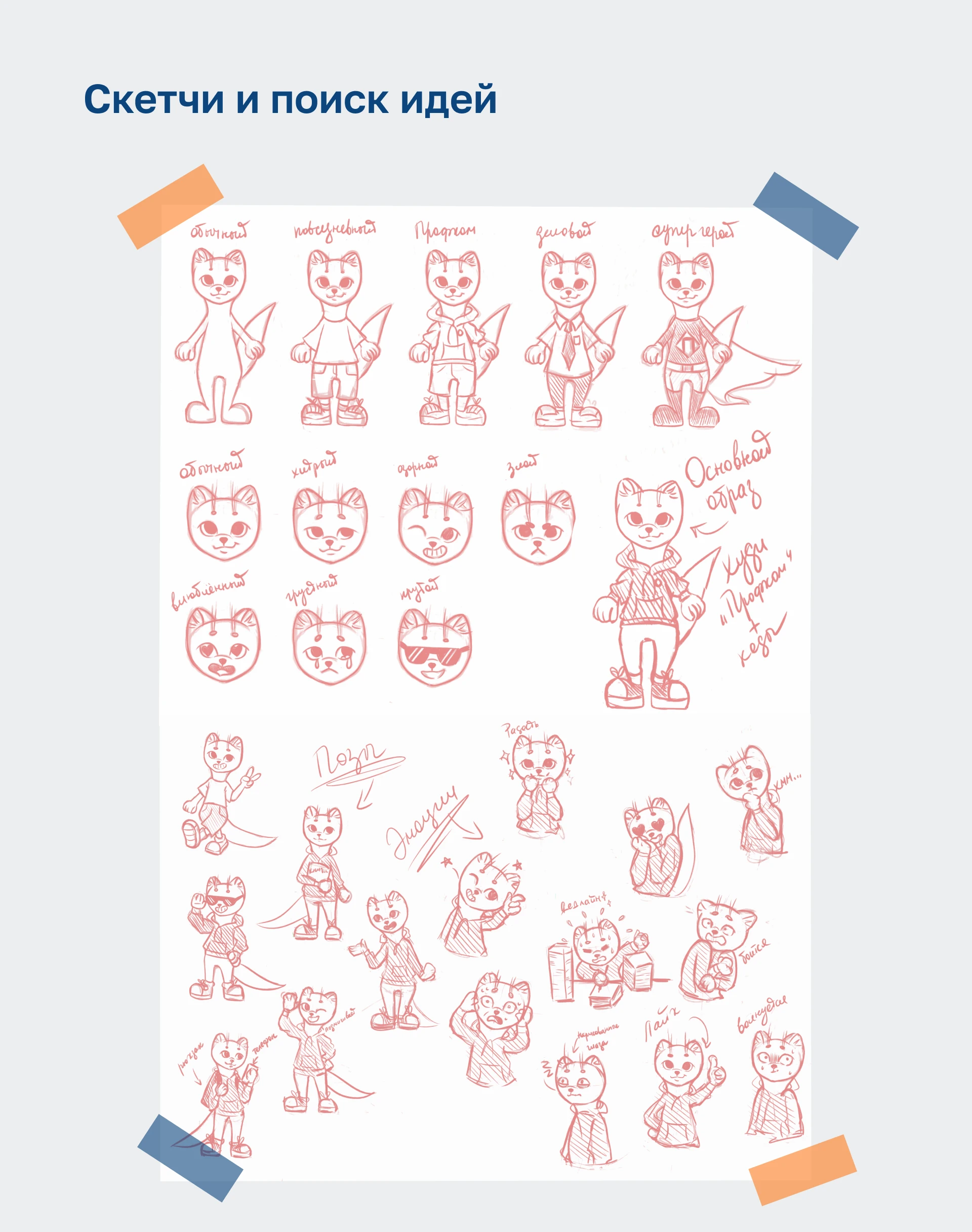 Дизайн маскота — Изображение №2 — Брендинг, Иллюстрация на Dprofile