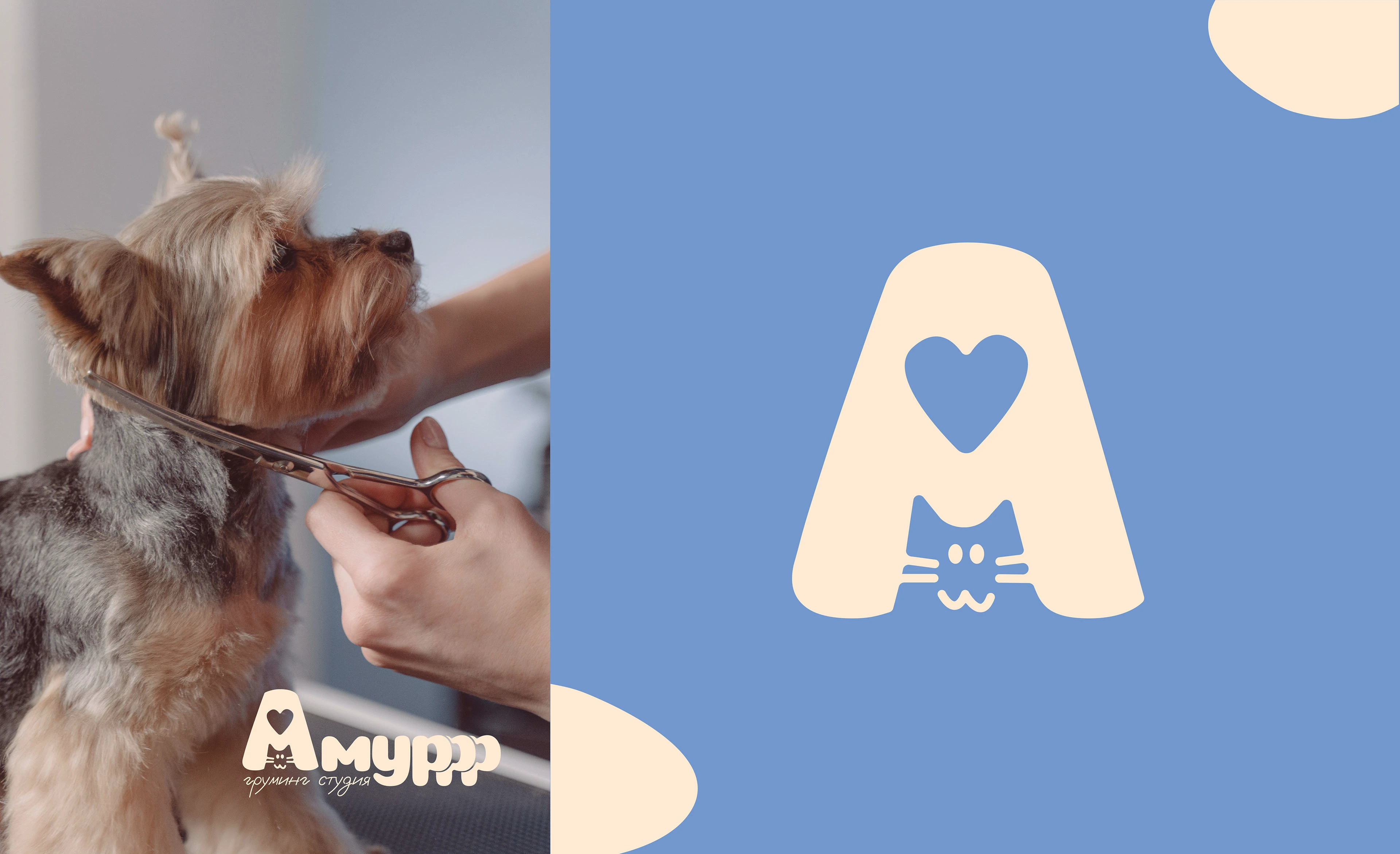 Концепт груминг-студии Амуррр — Изображение №8 — Брендинг на Dprofile