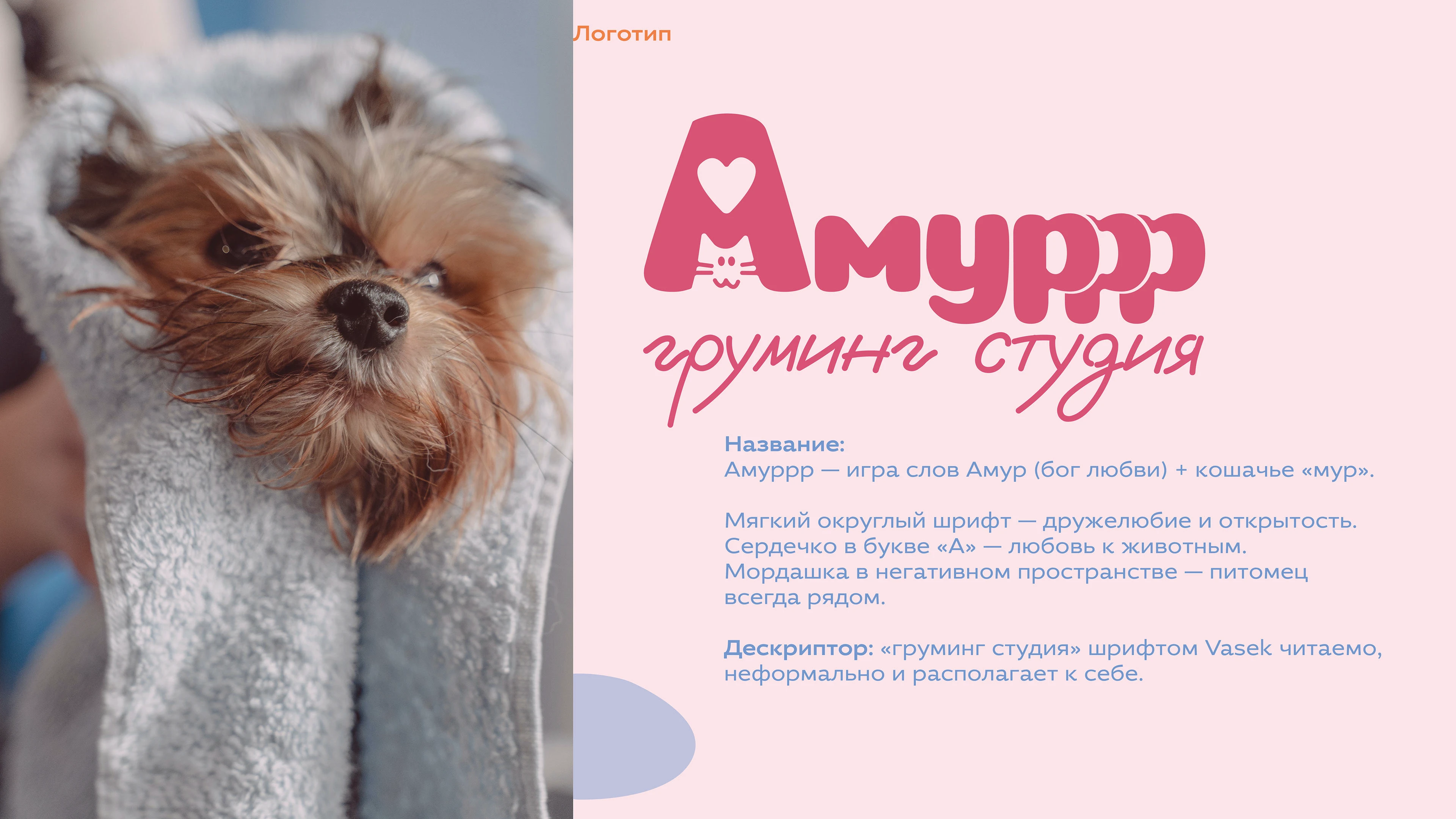 Концепт груминг-студии Амуррр — Изображение №3 — Брендинг на Dprofile
