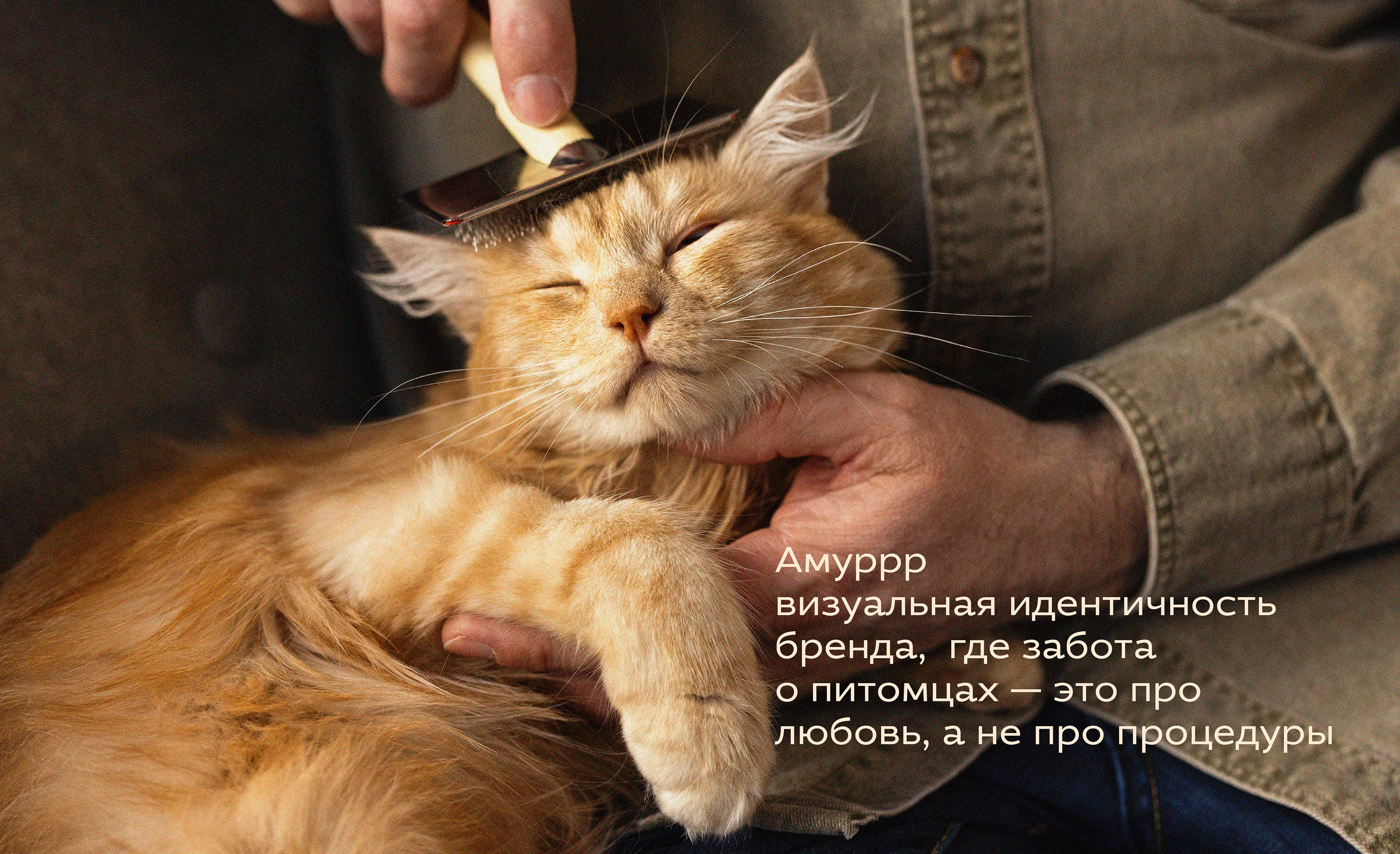 Концепт груминг-студии Амуррр — Изображение №1 — Брендинг на Dprofile