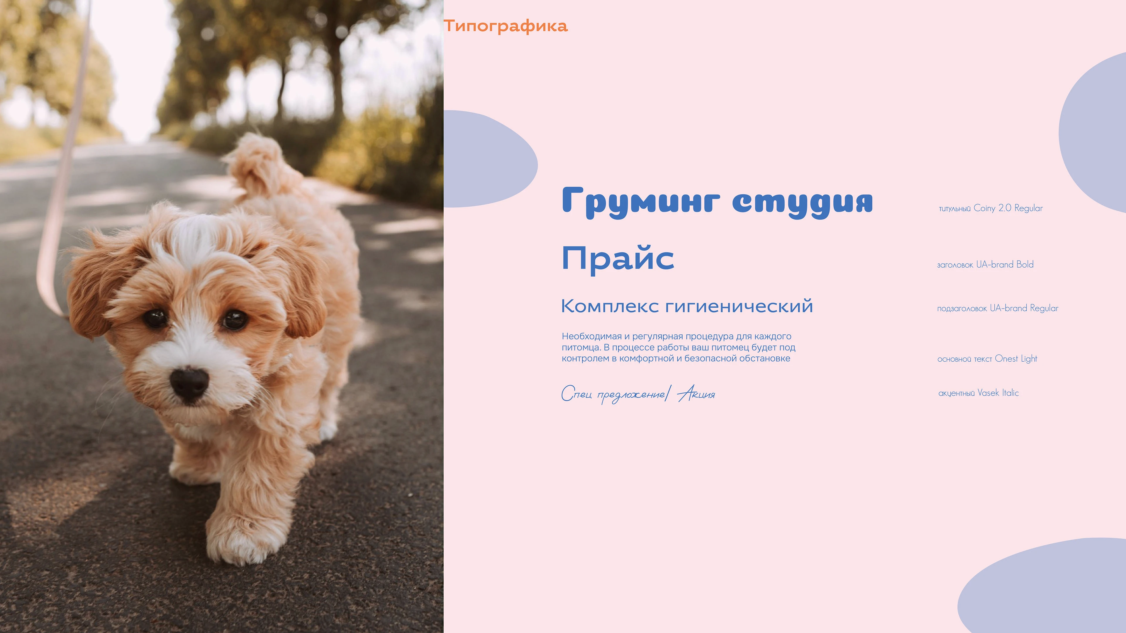 Концепт груминг-студии Амуррр — Изображение №5 — Брендинг на Dprofile