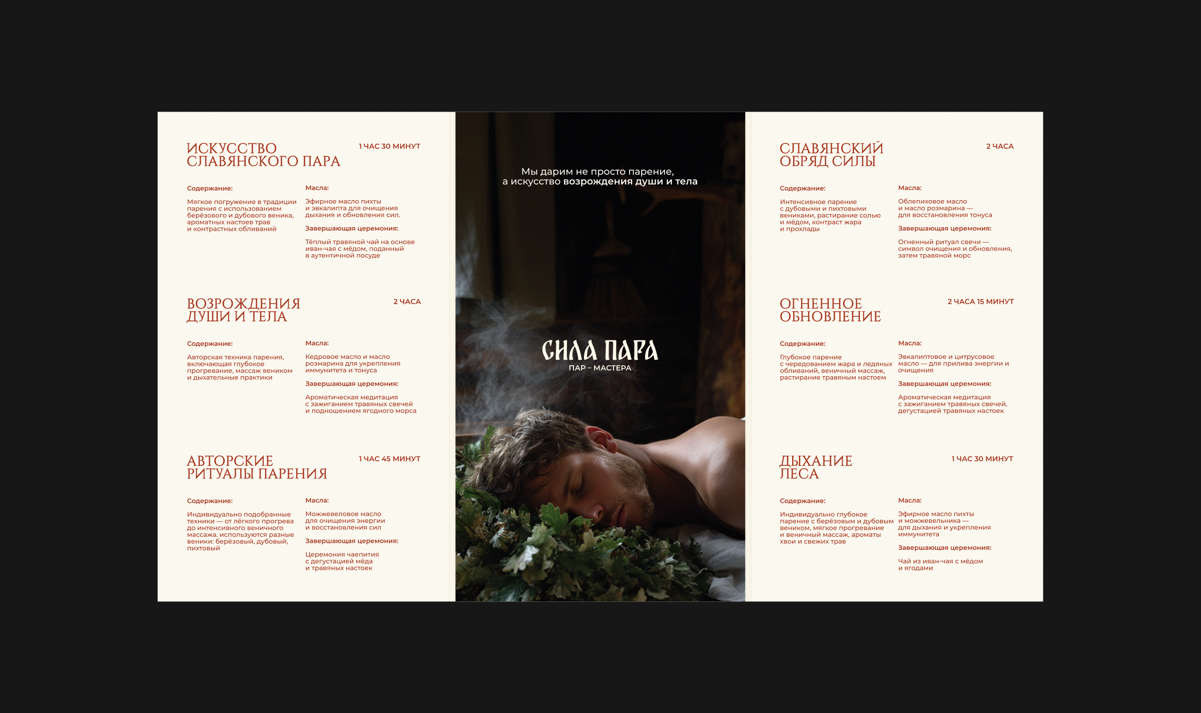 СИЛА ПАРА // Фирменный стиль — Изображение №9 — Брендинг, Графика на Dprofile