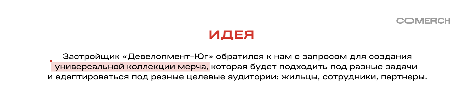 Мерч для Девелопмент-юг — Изображение №2 — Брендинг на Dprofile