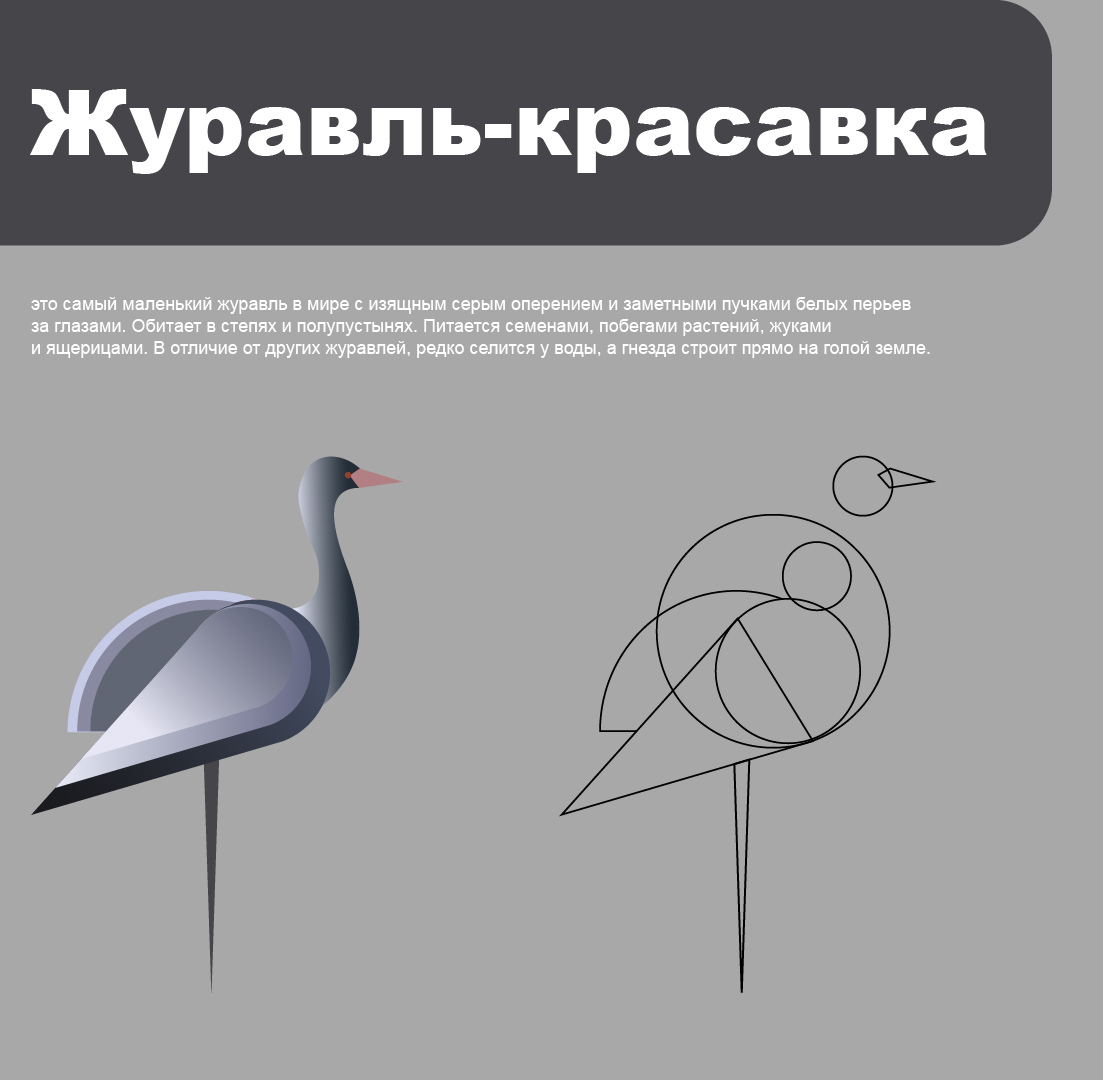 Серия пиктограмм — Изображение №9 — Графика, Анимация на Dprofile
