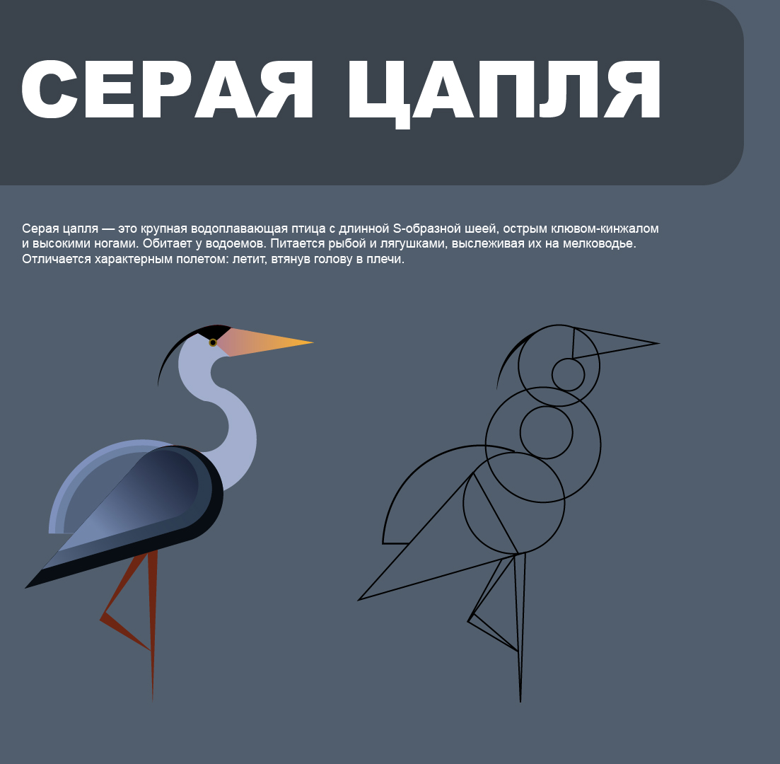 Серия пиктограмм — Изображение №1 — Графика, Анимация на Dprofile
