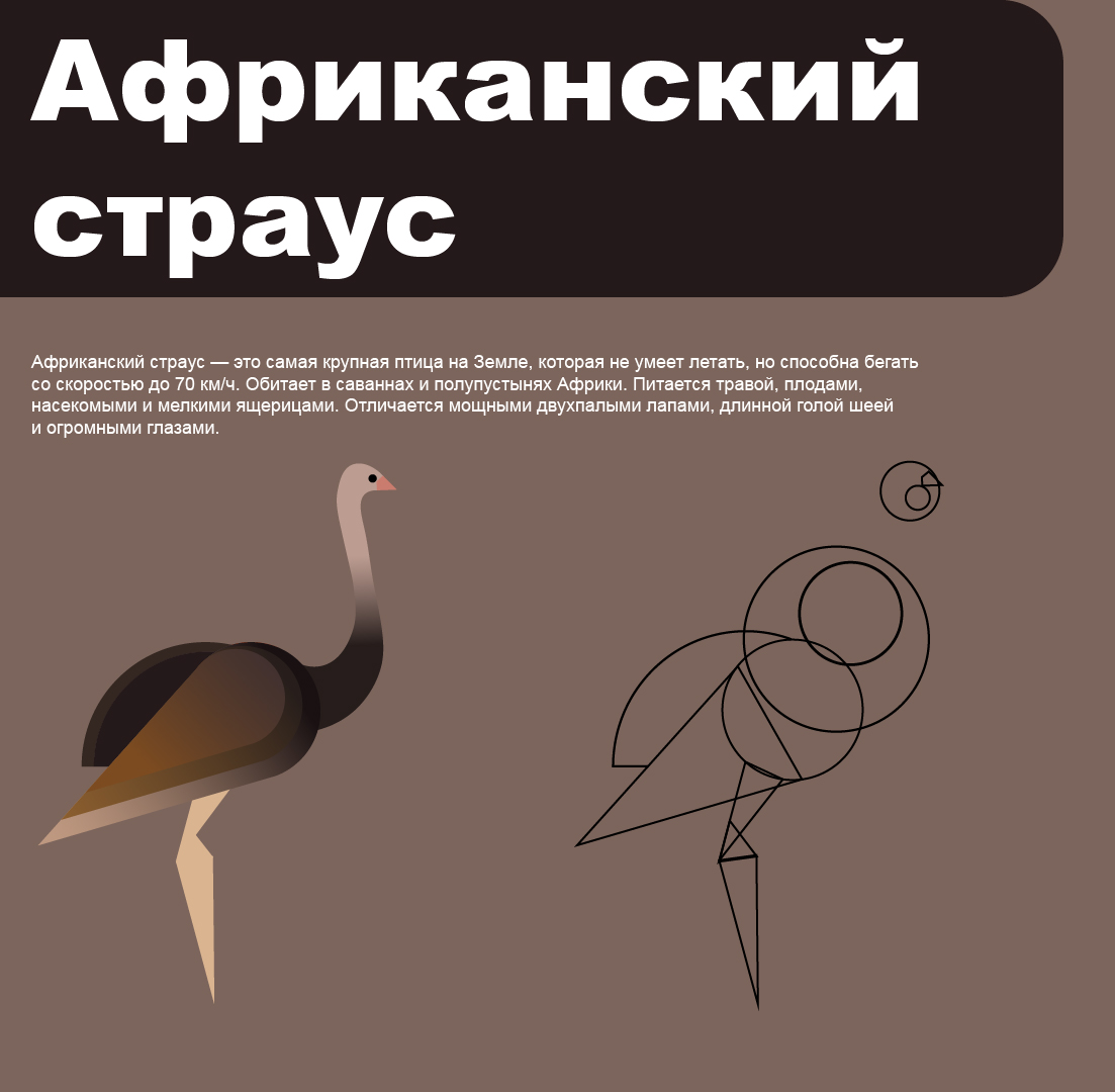 Серия пиктограмм — Изображение №5 — Графика, Анимация на Dprofile