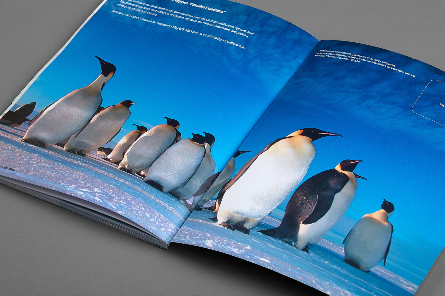 Дизайн и фотосъемка для туристической компании — Изображение №37 — Графика на Dprofile