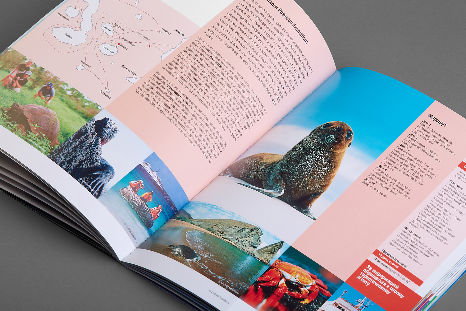 Дизайн и фотосъемка для туристической компании — Изображение №33 — Графика на Dprofile