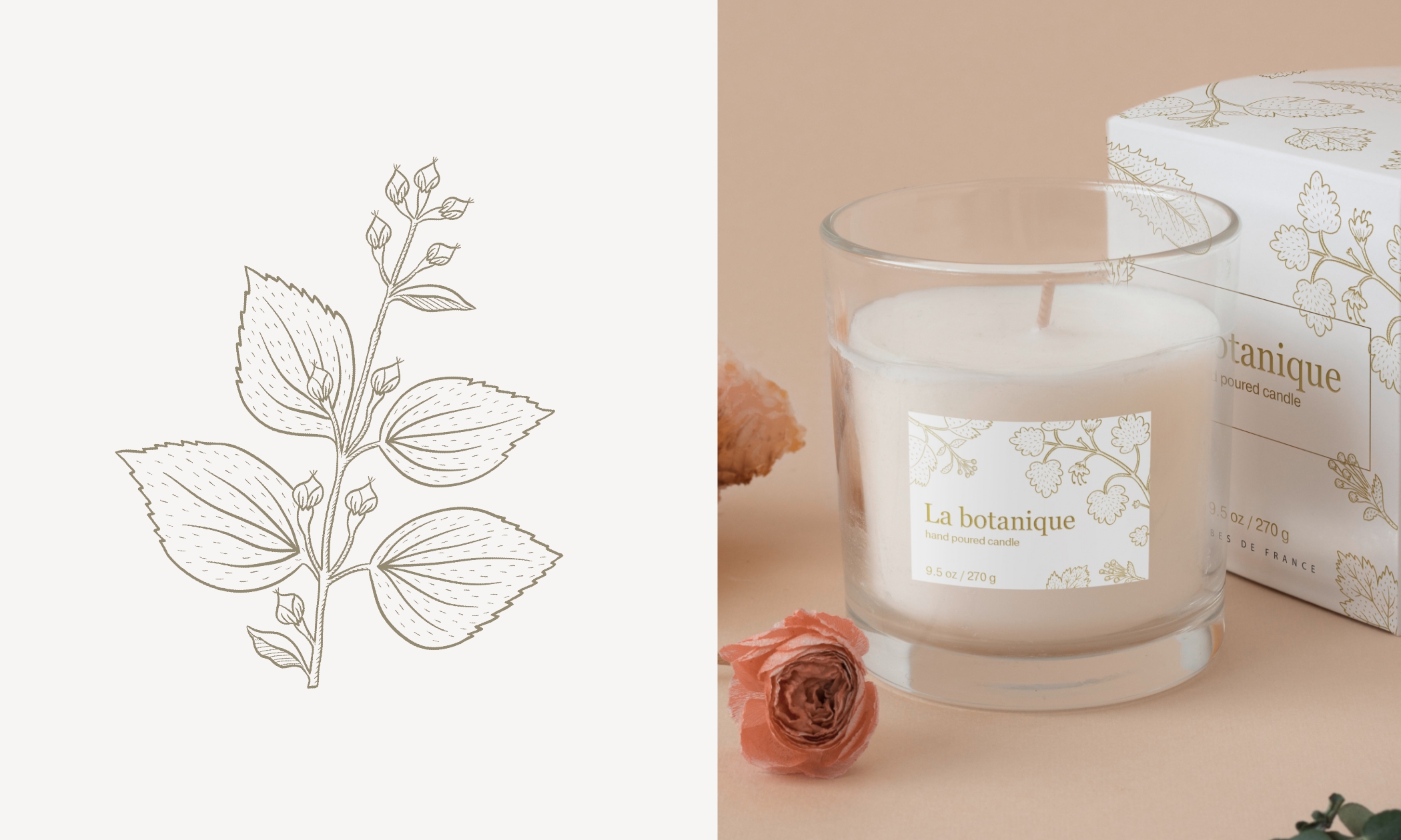 La botanique - фирменный стиль — Изображение №6 — Брендинг, Иллюстрация на Dprofile