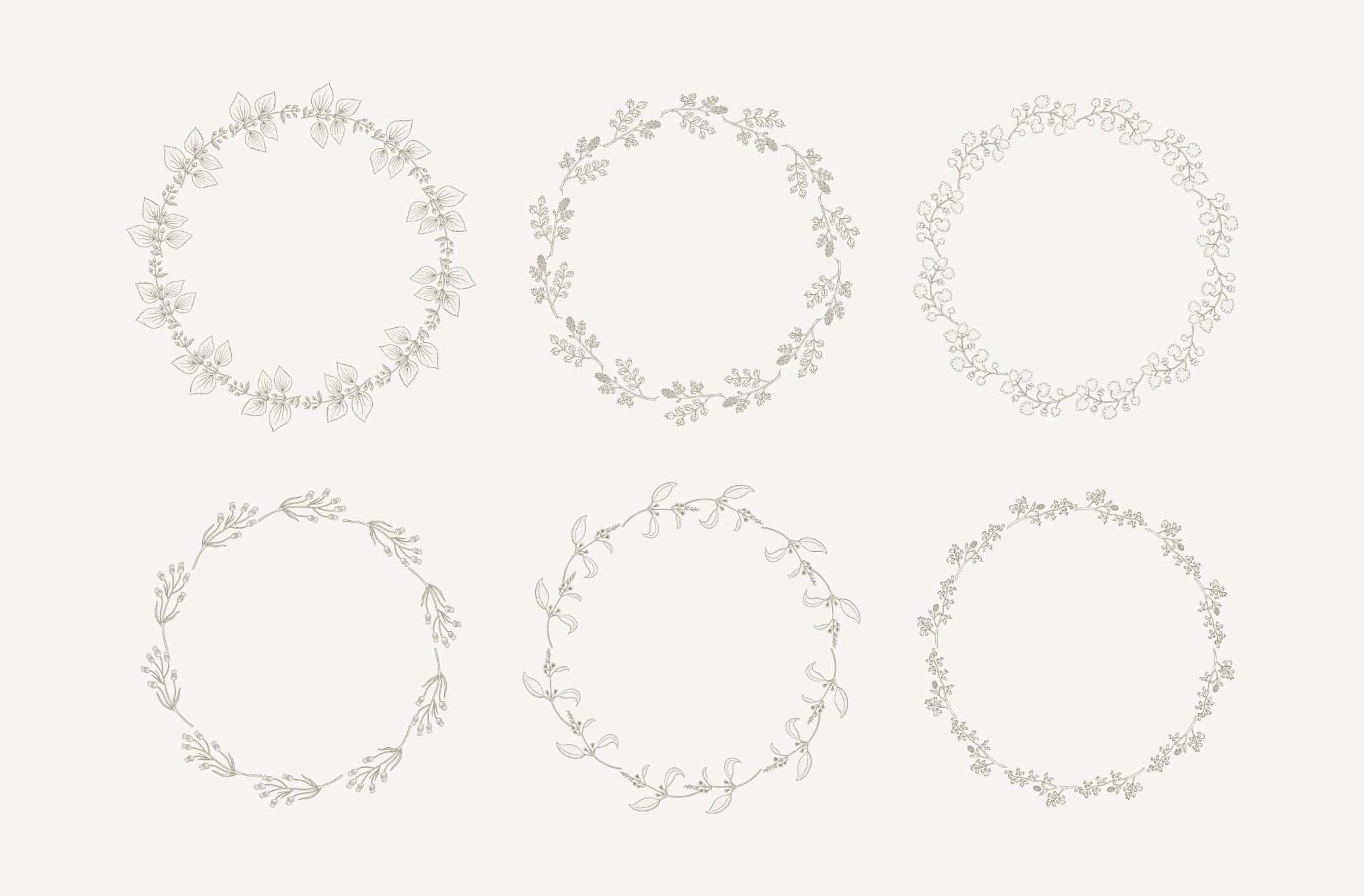 La botanique - фирменный стиль — Изображение №11 — Брендинг, Иллюстрация на Dprofile