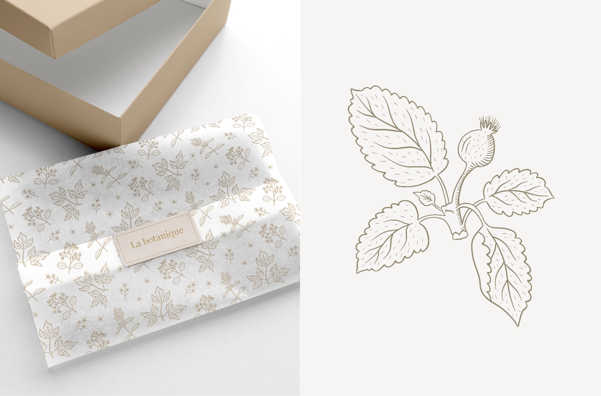 La botanique - фирменный стиль — Изображение №10 — Брендинг, Иллюстрация на Dprofile