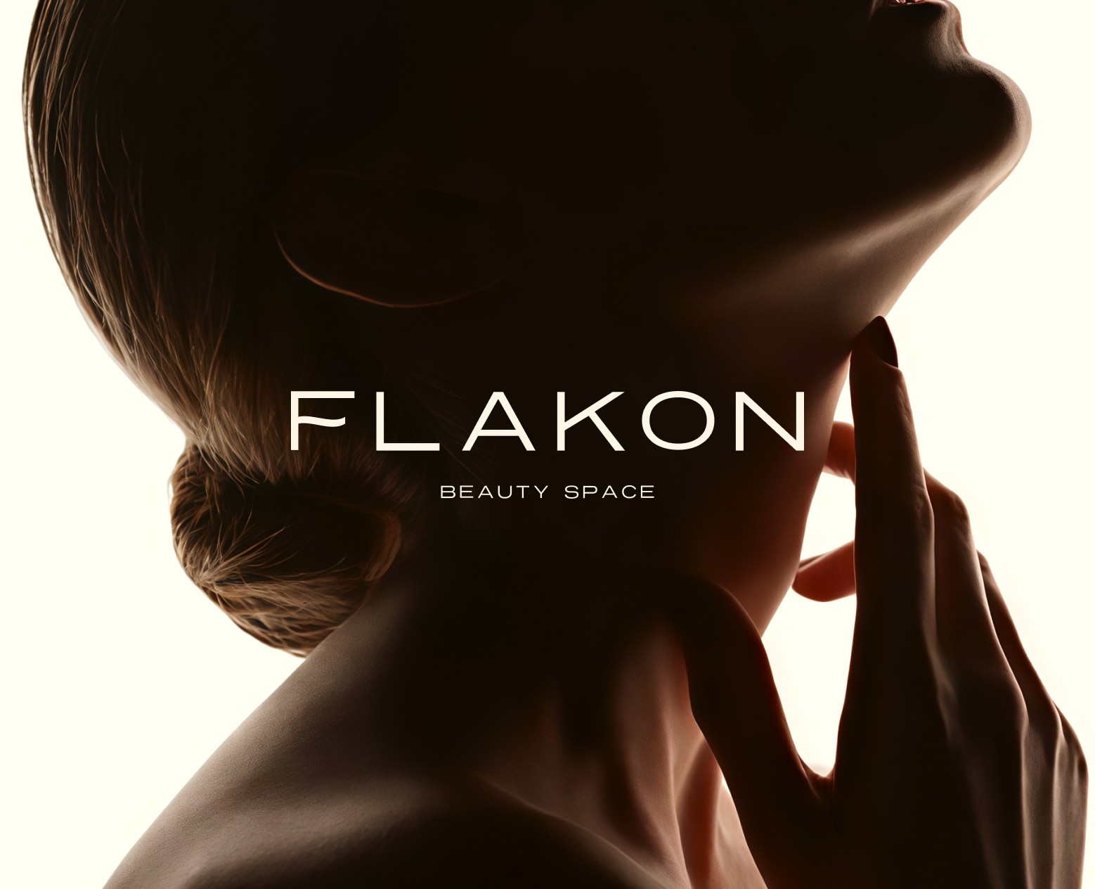 FLAKON | Brand Identity на Dprofile