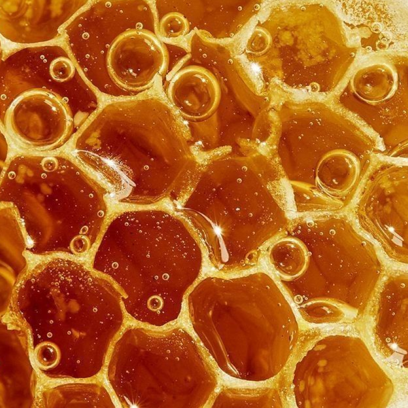 Аватар пользователя annie gerasimova