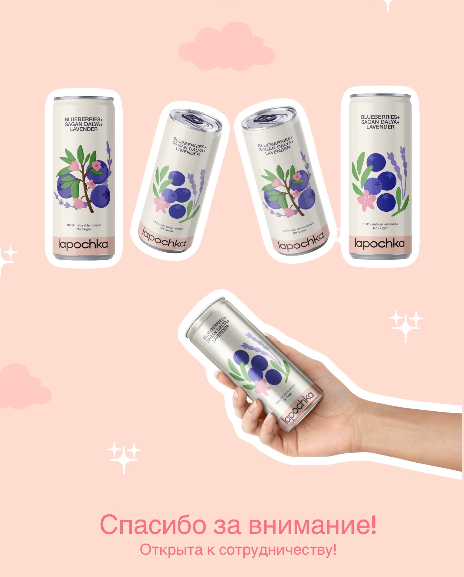 Lapochka × Endy - концепт упаковки лимонада — Изображение №5 — Брендинг, Иллюстрация на Dprofile